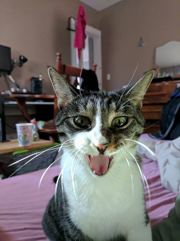 My Girlfriend Also Just Updated Her Camera. This Is Bits