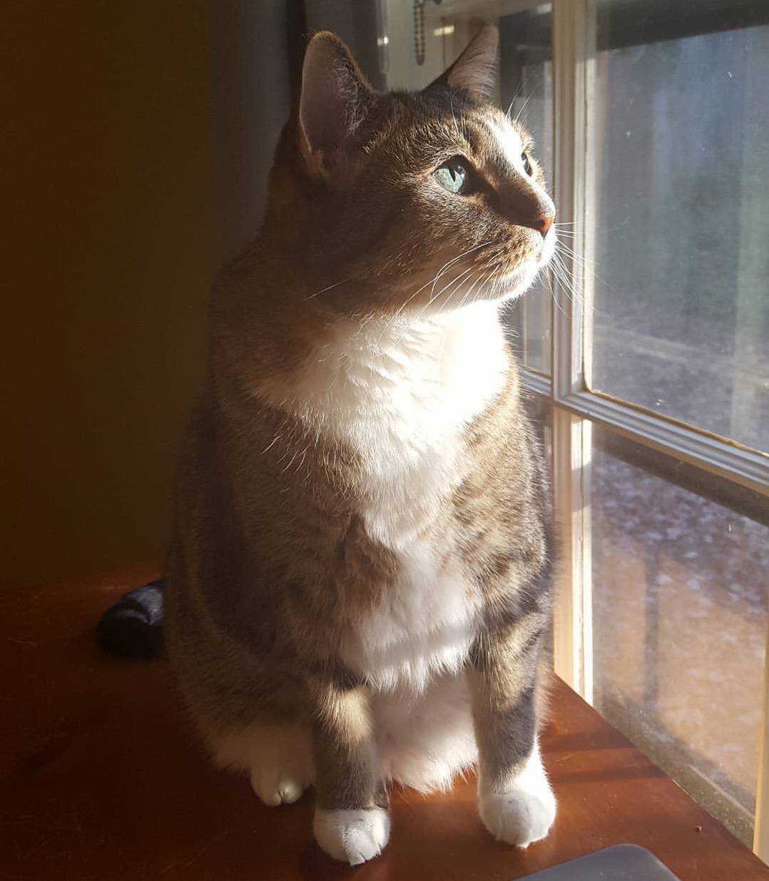 My Handsome Boy Looking Regal Af