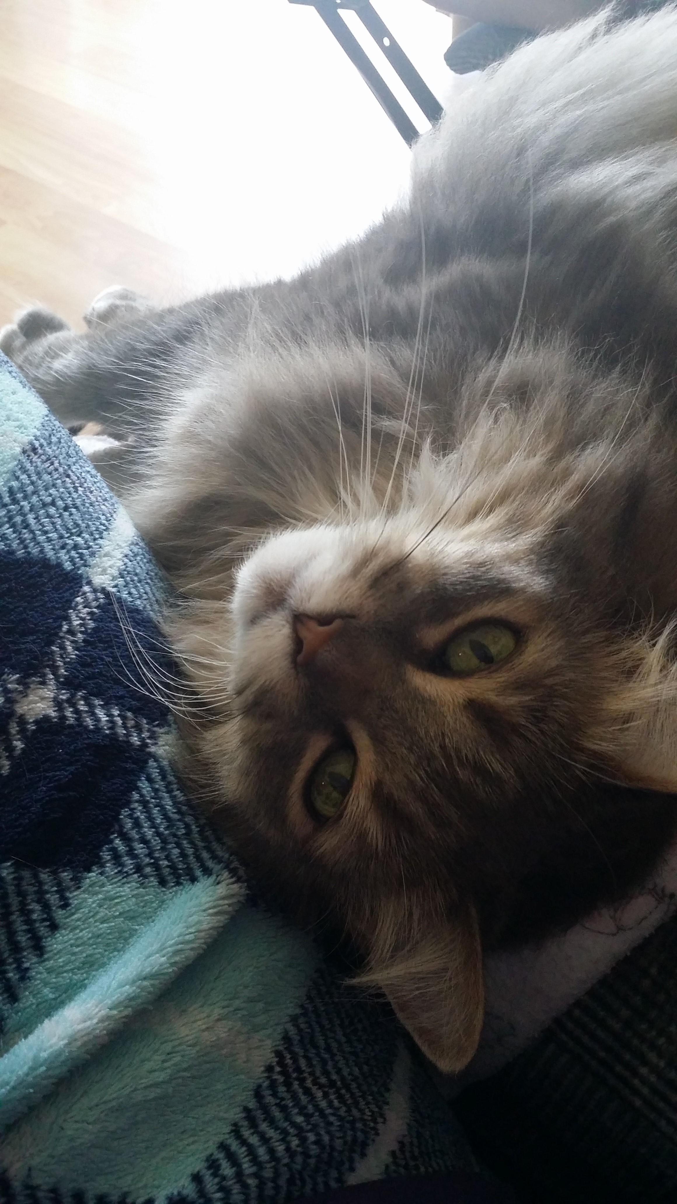 My Pretty Baby Who Just Turned 10 Years Old