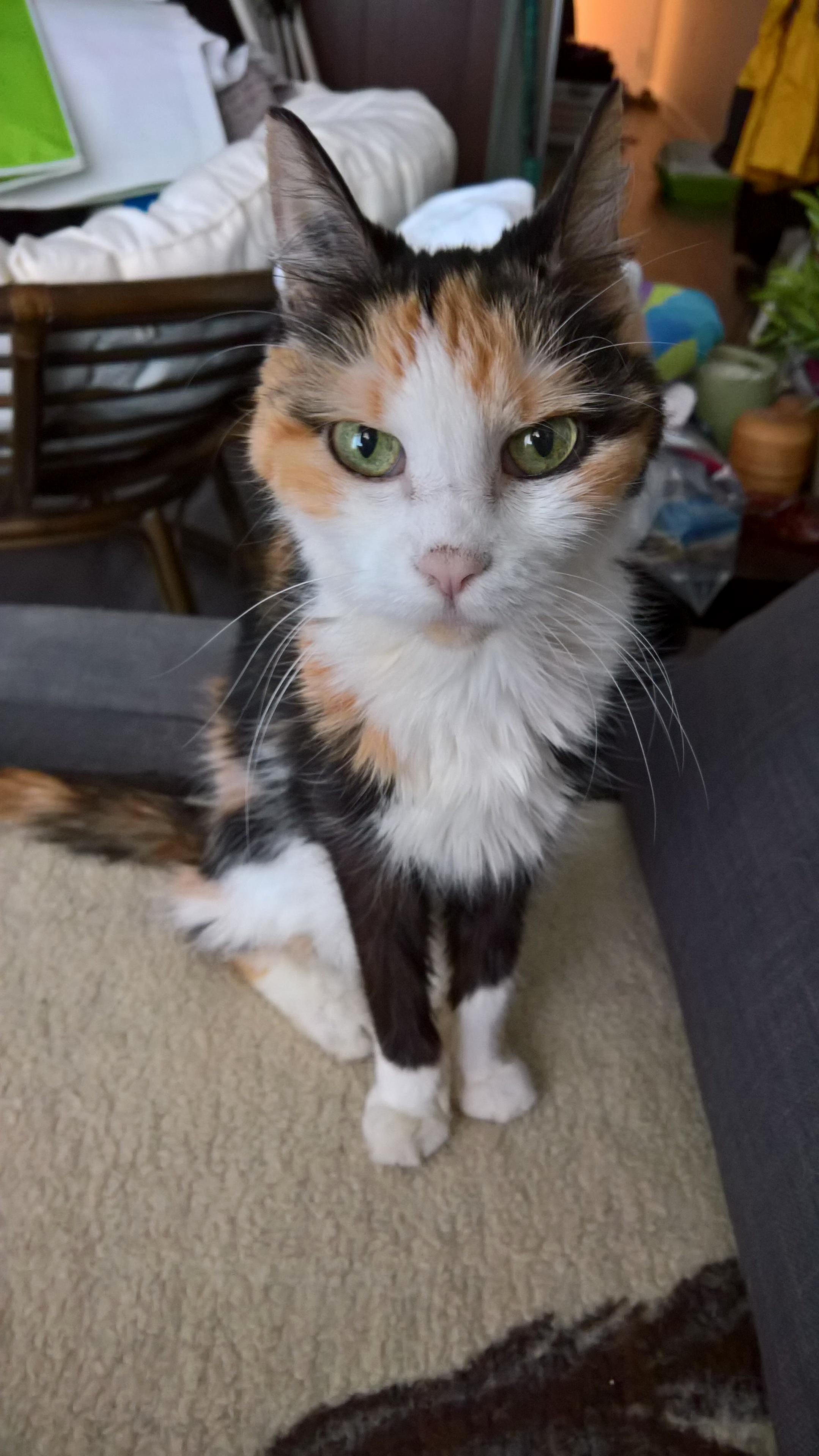 My Skinny Old Girl Showing Off How Earnest She Can Look.