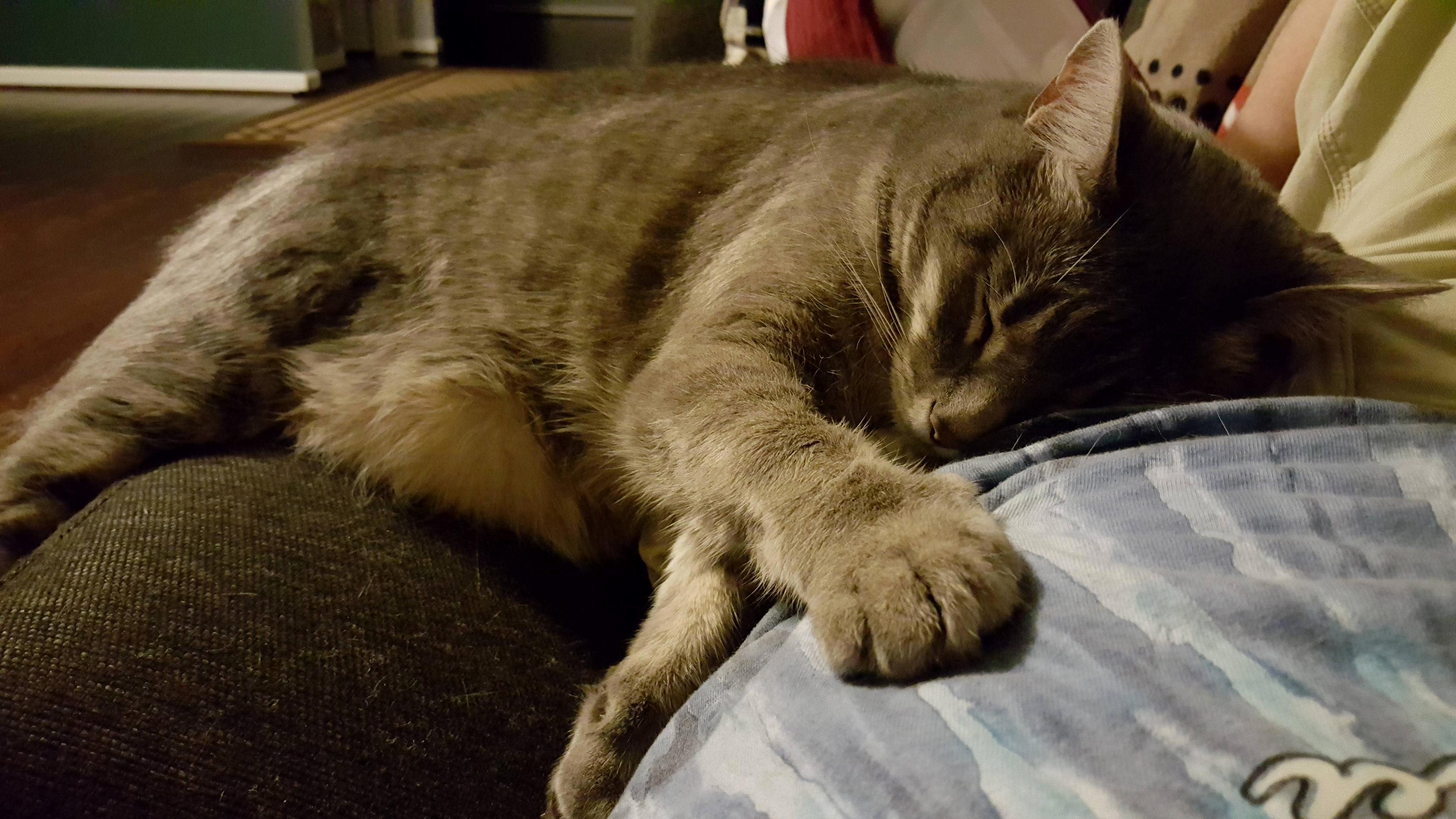 Night Time Cuddles