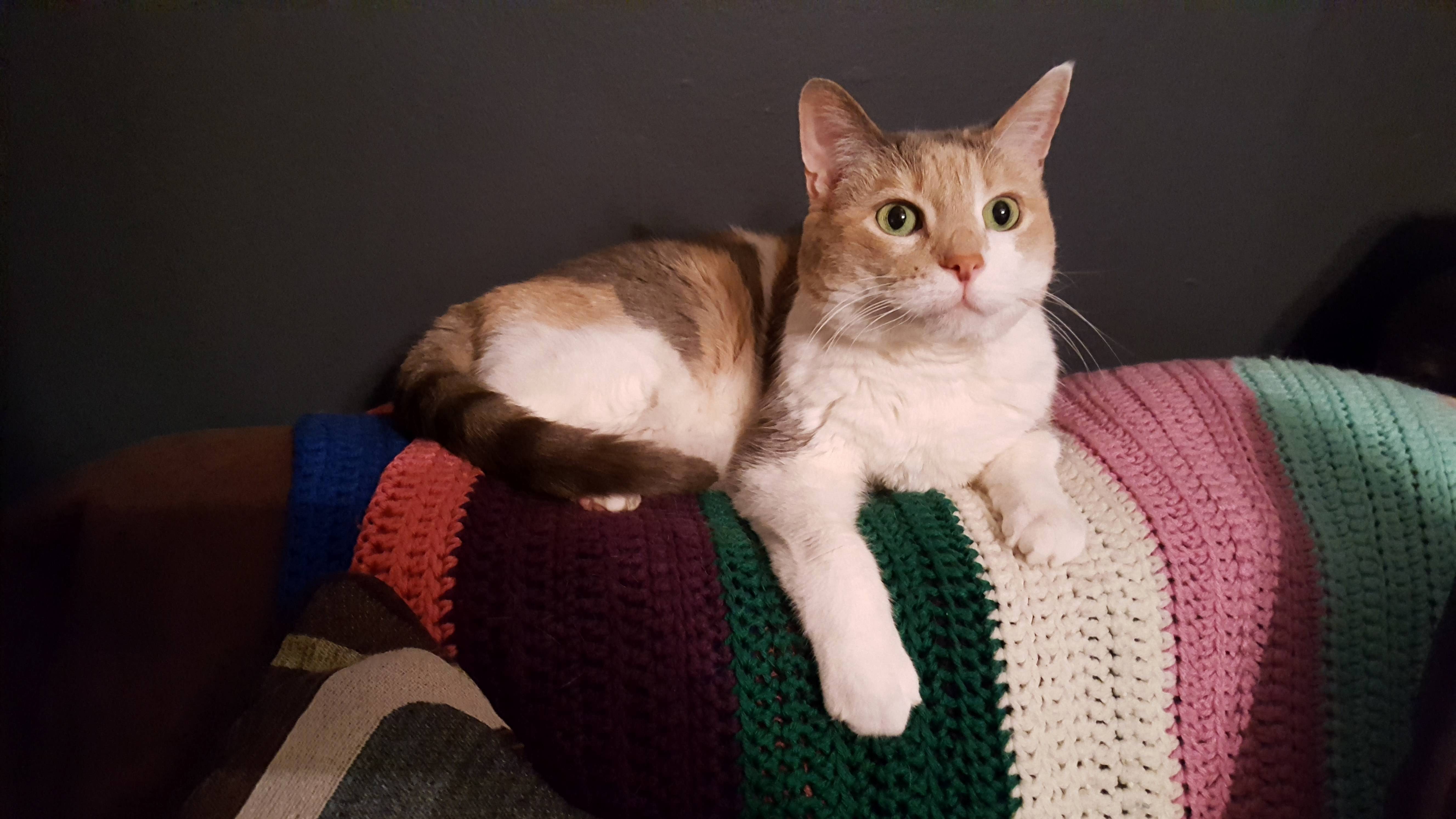 Oddball