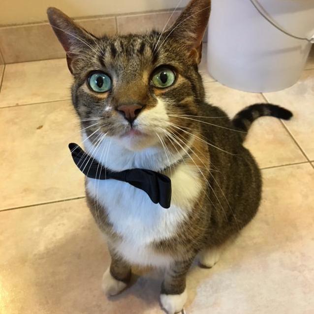 Our Guy Turned 10 Recently