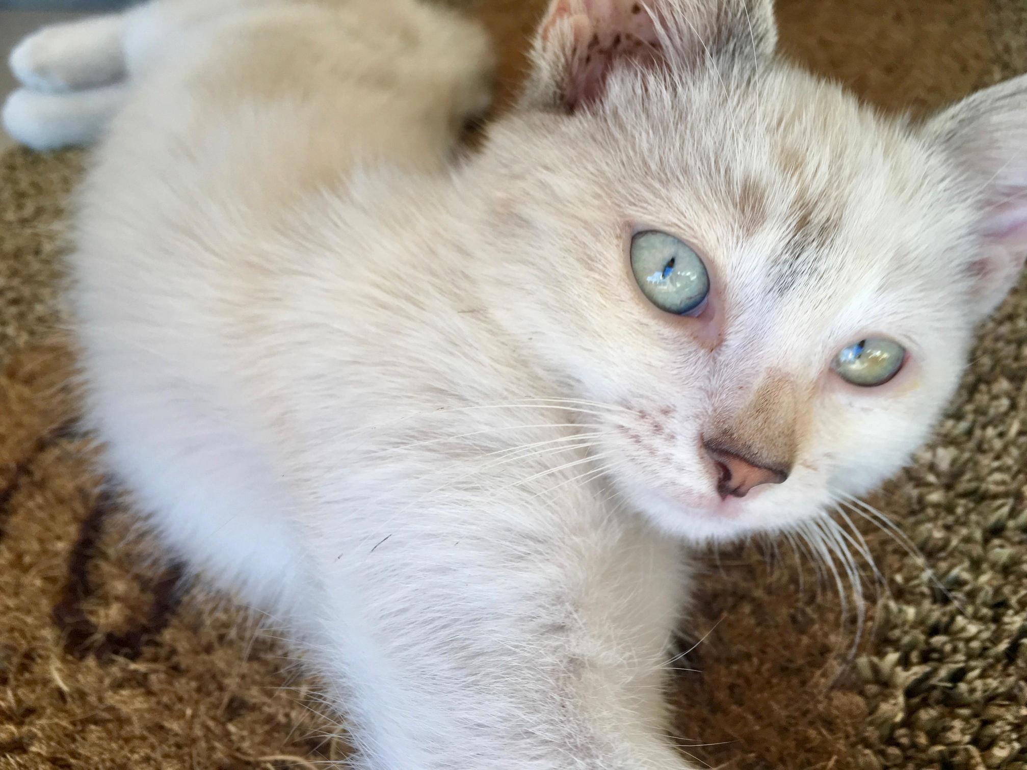 Polar Is Looking and Feeling Much Better
