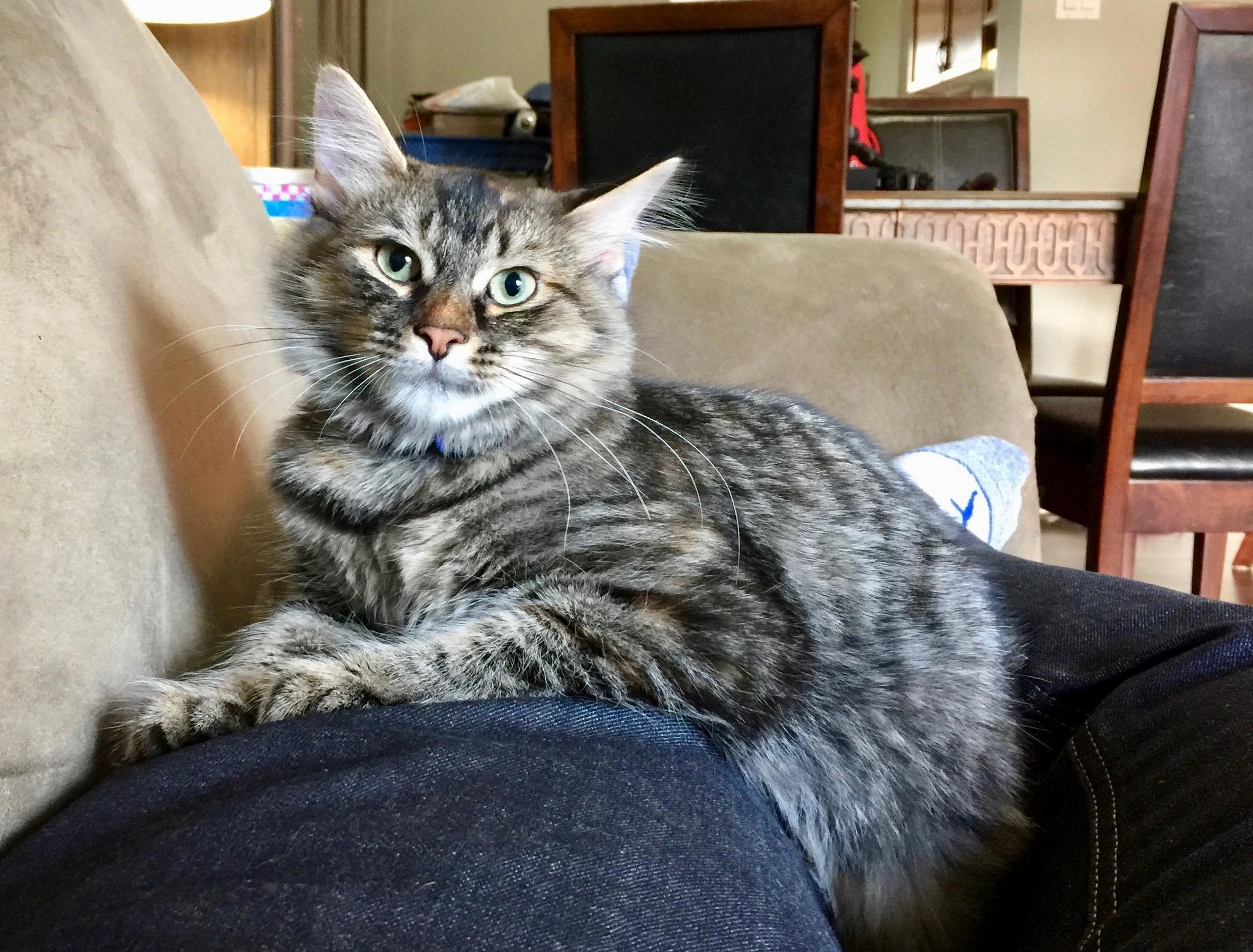 Scully Has Finally Warmed Up to Me