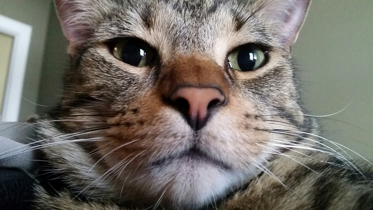 Selfie.