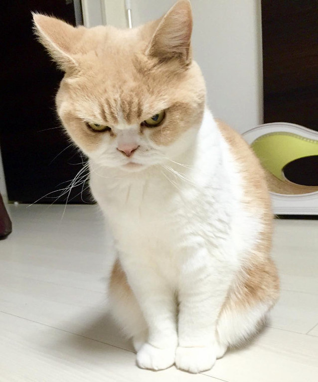 She Is Mostly in a Very Cheerful Mood. Just Like Today.
