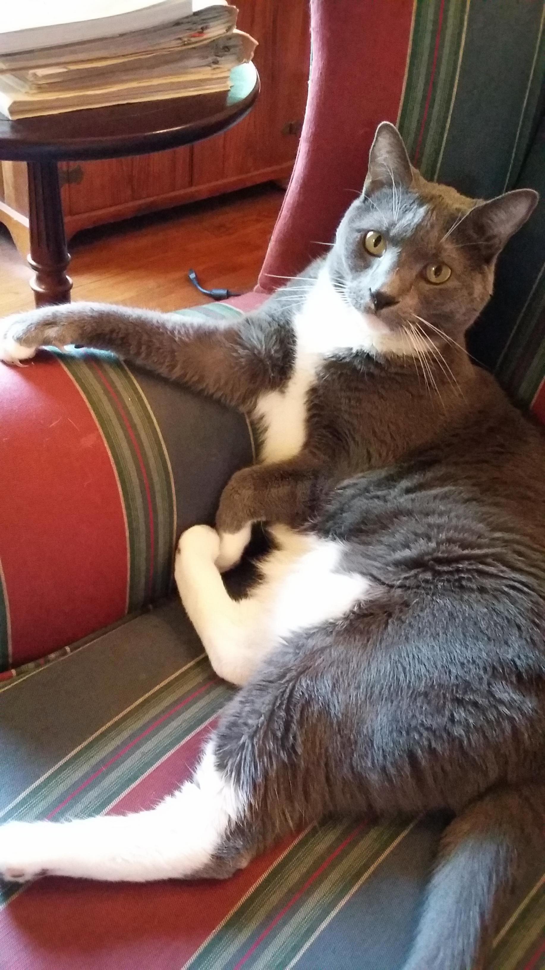 She Knows How to Pose