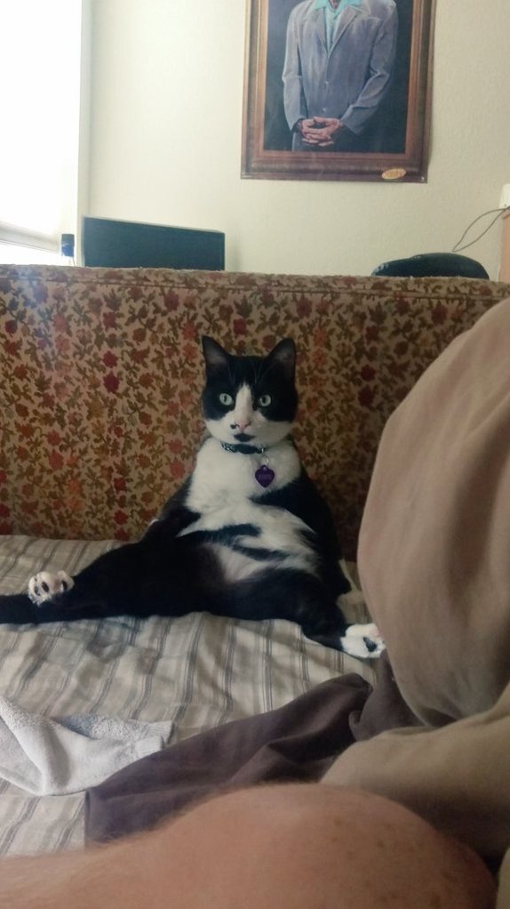 She Likes Being Involved When My So and I Hang Out in the Mornings.