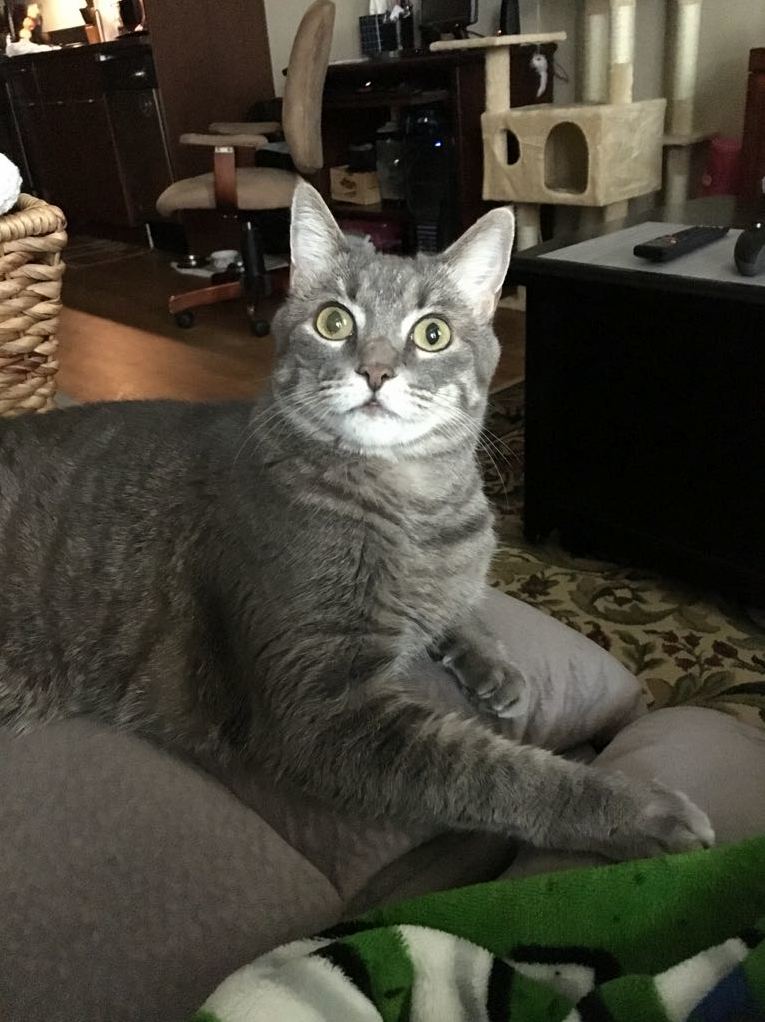 She Looks a Little Scared and a Little Judgmental