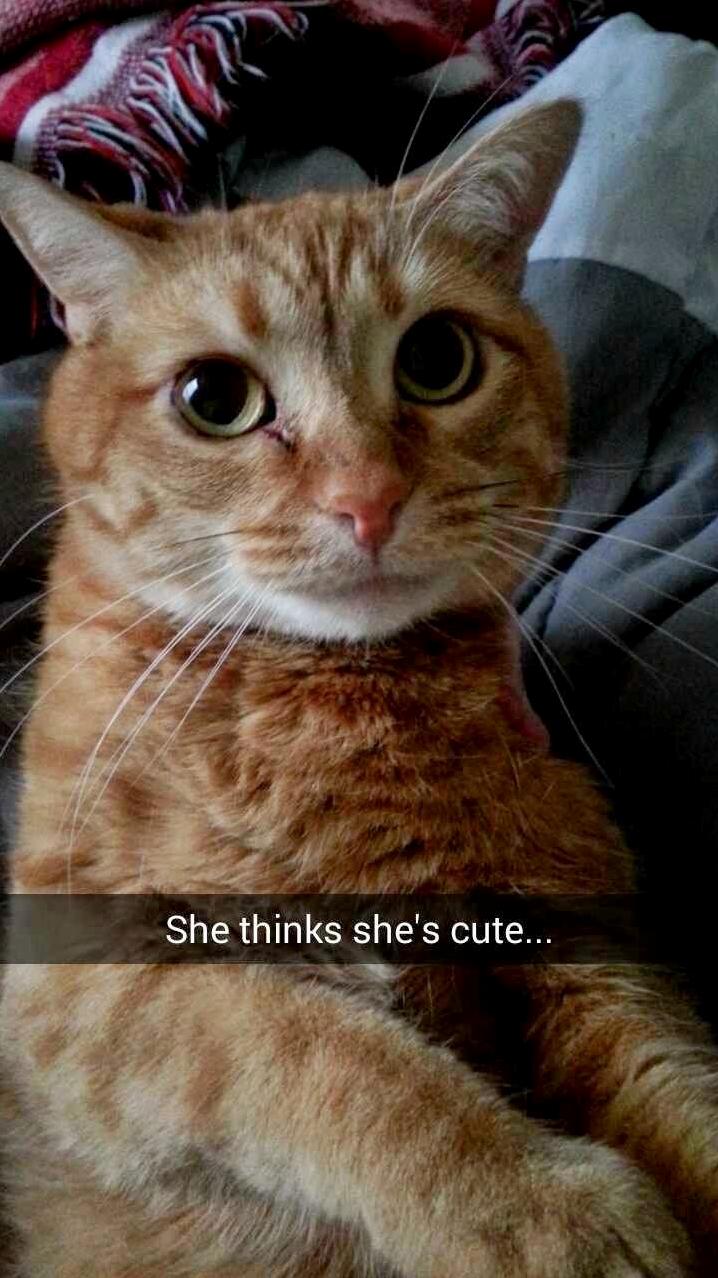 She Thinks Shes Cute...