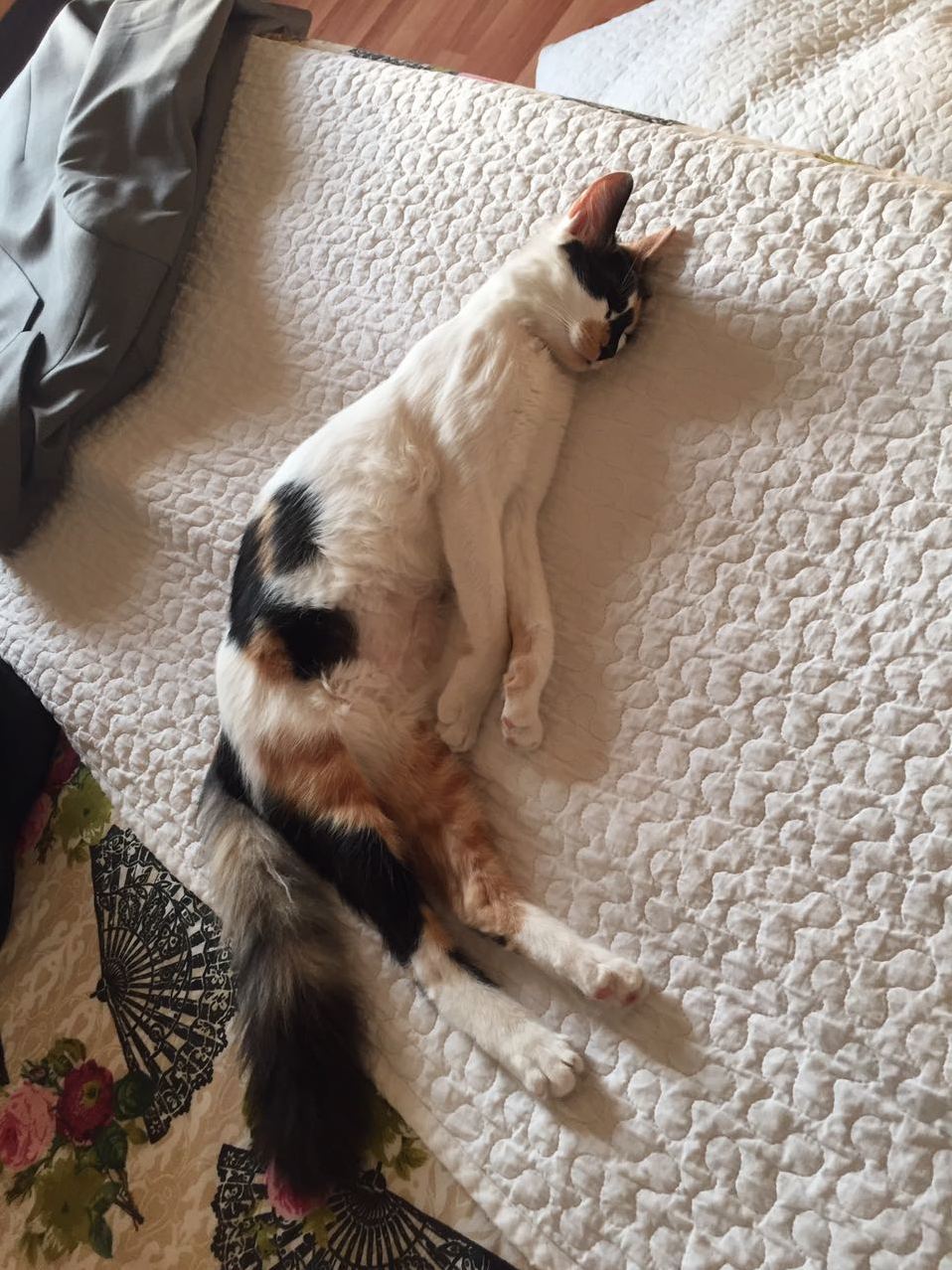 She Wants to Grow Up to Be a Kangaroo.