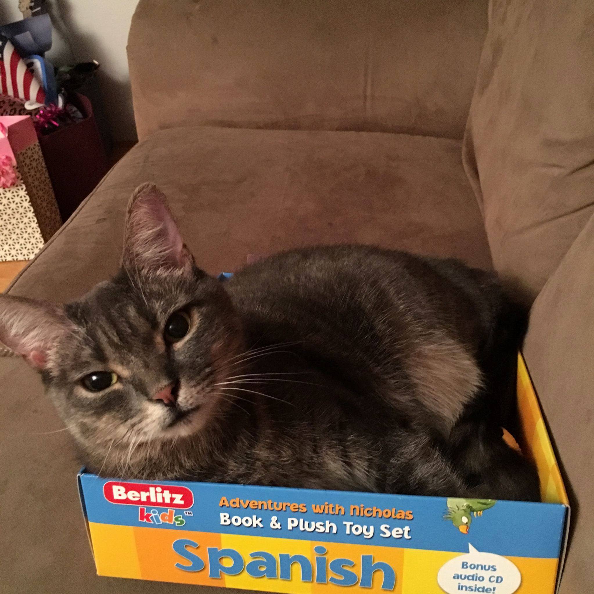 She Wants to Learn Spanish