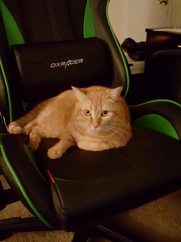 She Wasnt Too Happy with How Her Overwatch Game Went. She Says It Was Lag. I Said They Were Just Better. She Wasnt Amused.