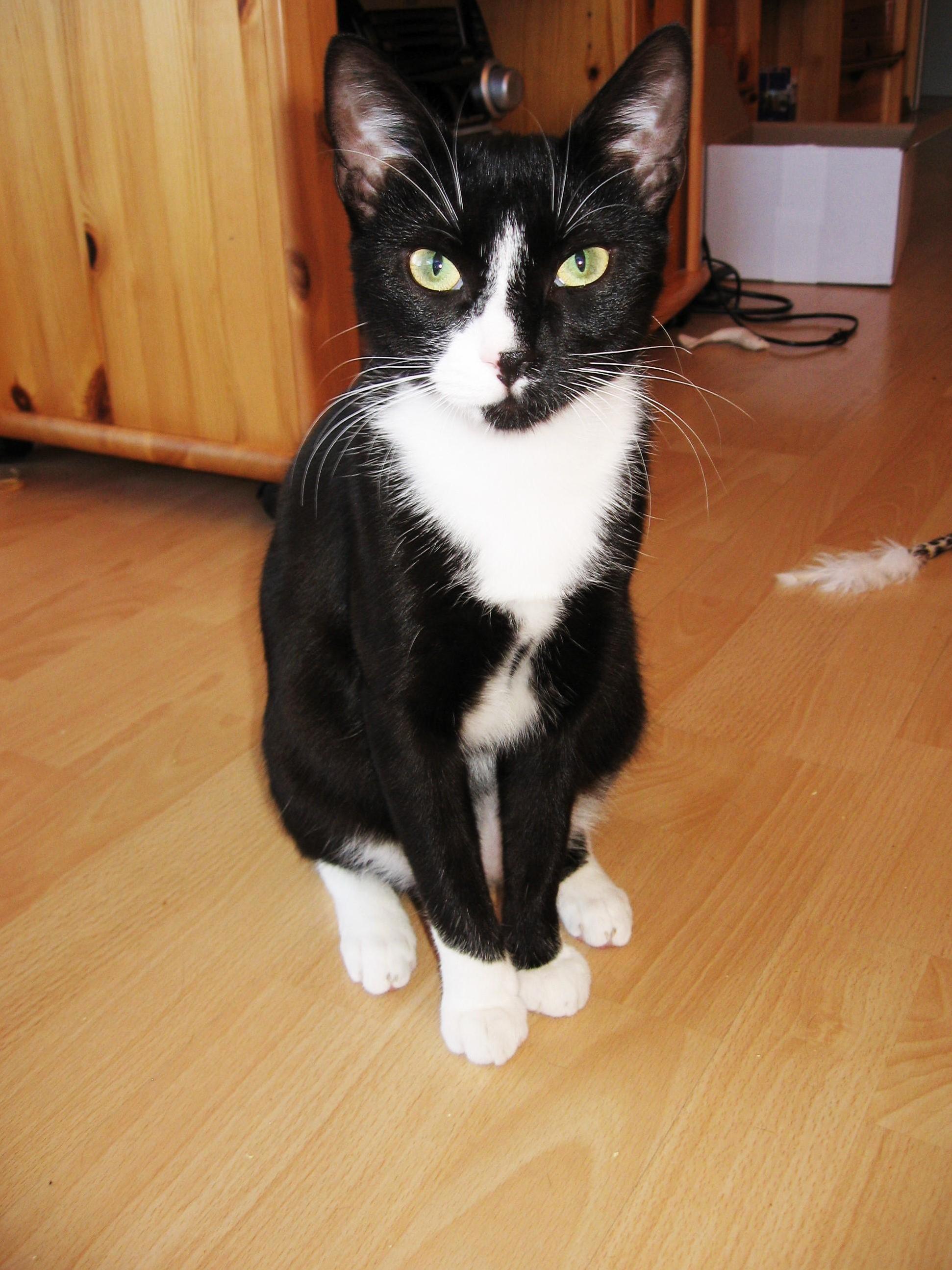She Wont Often Pose for Me That Neatly...