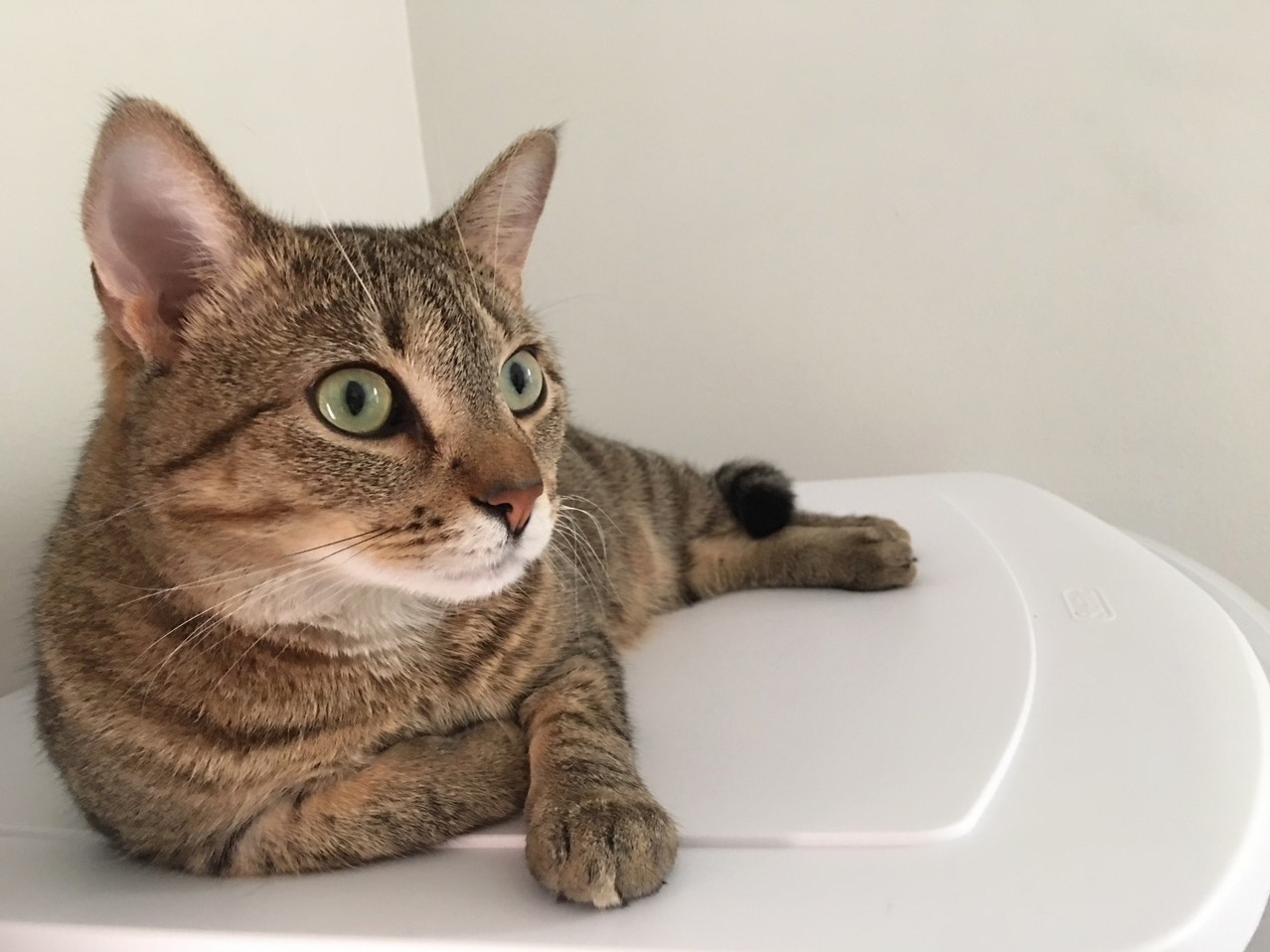 Shes Modeling