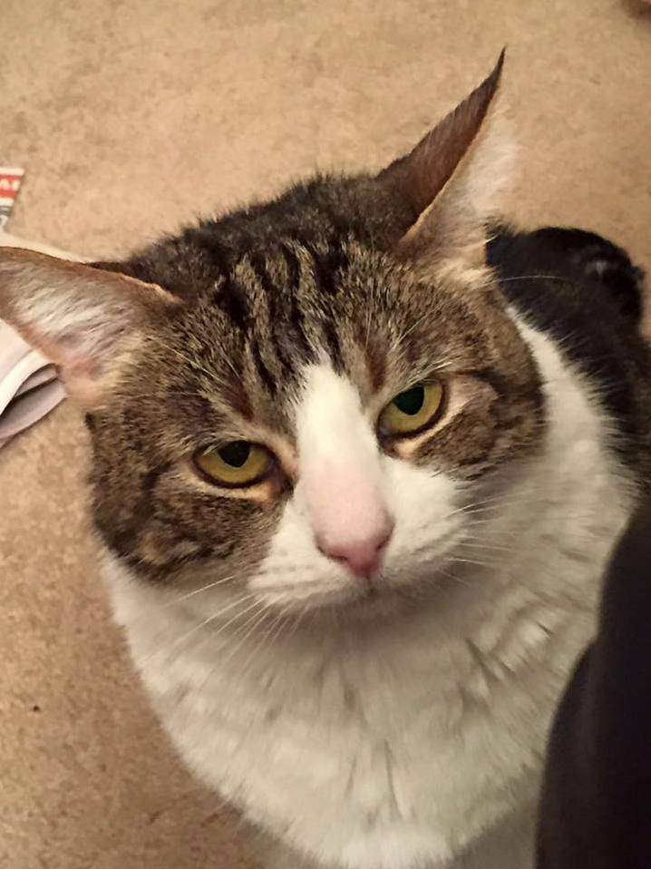 Shes Not Mad Shes Just Got Rbf