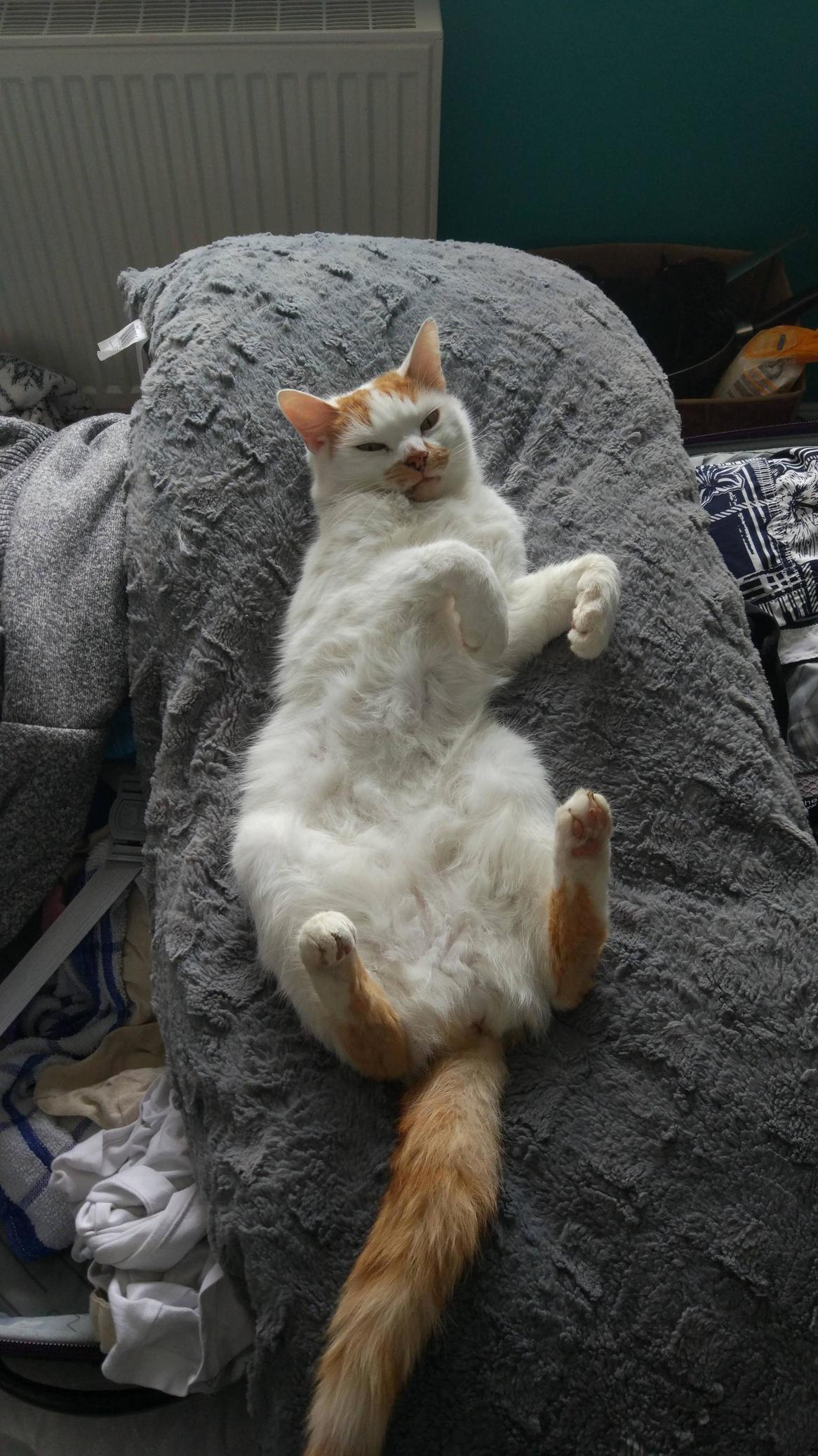 Shes Old but Still Acts Young