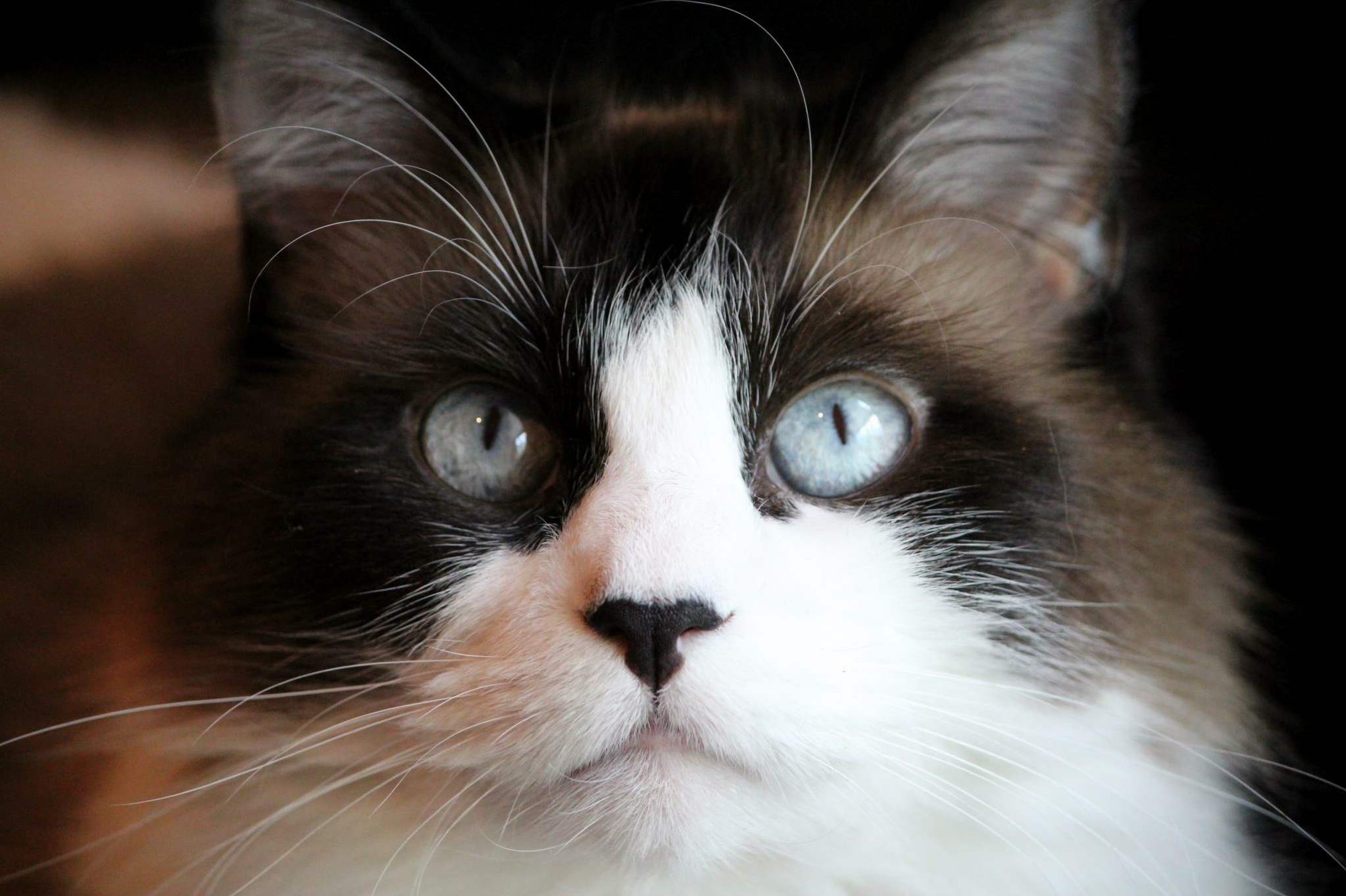Showing Off His Baby Blues