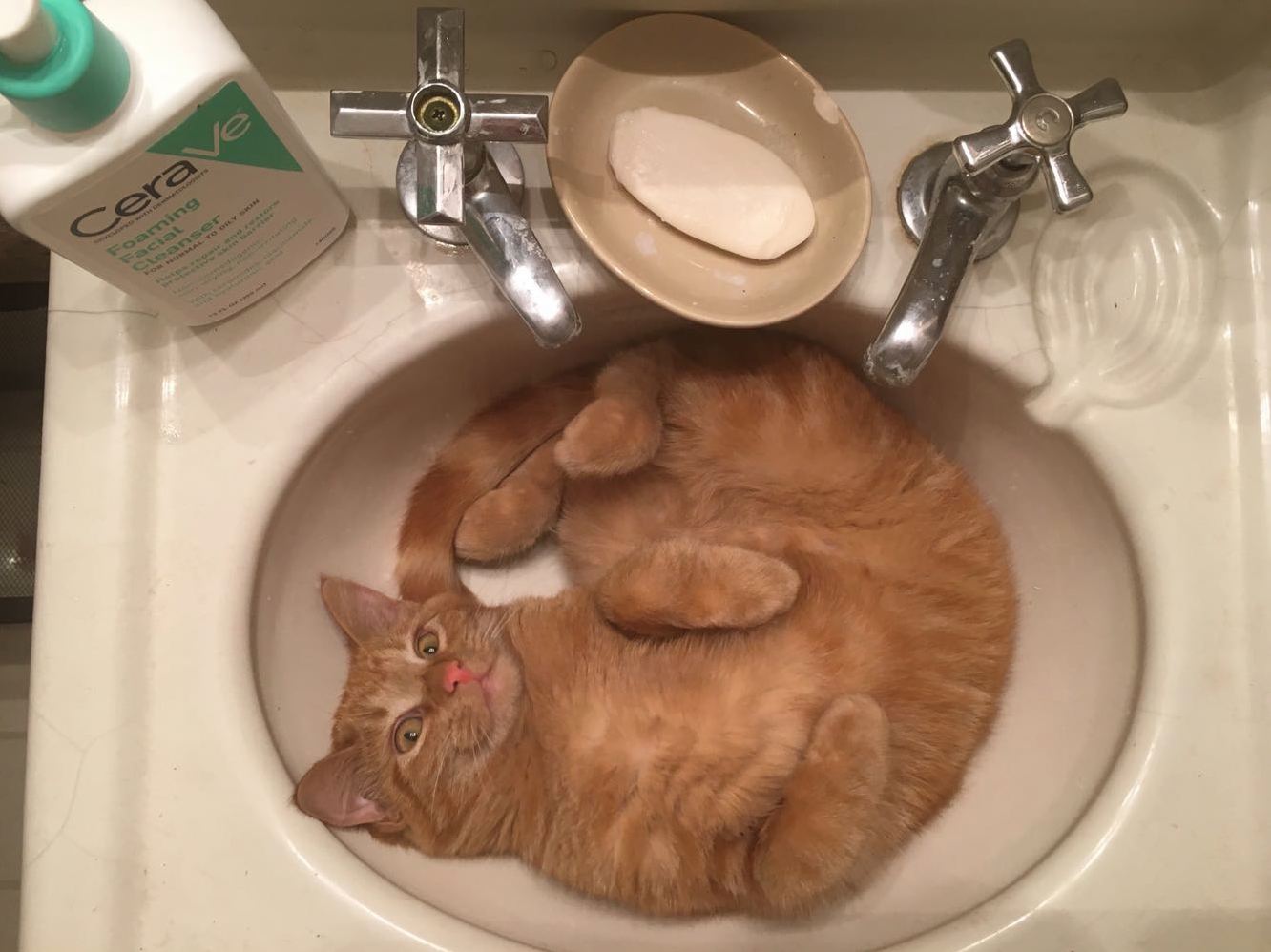 Sink Derp