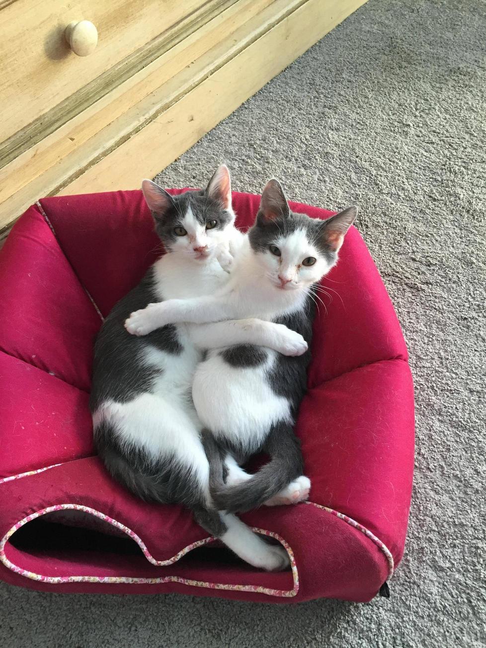 Sisters