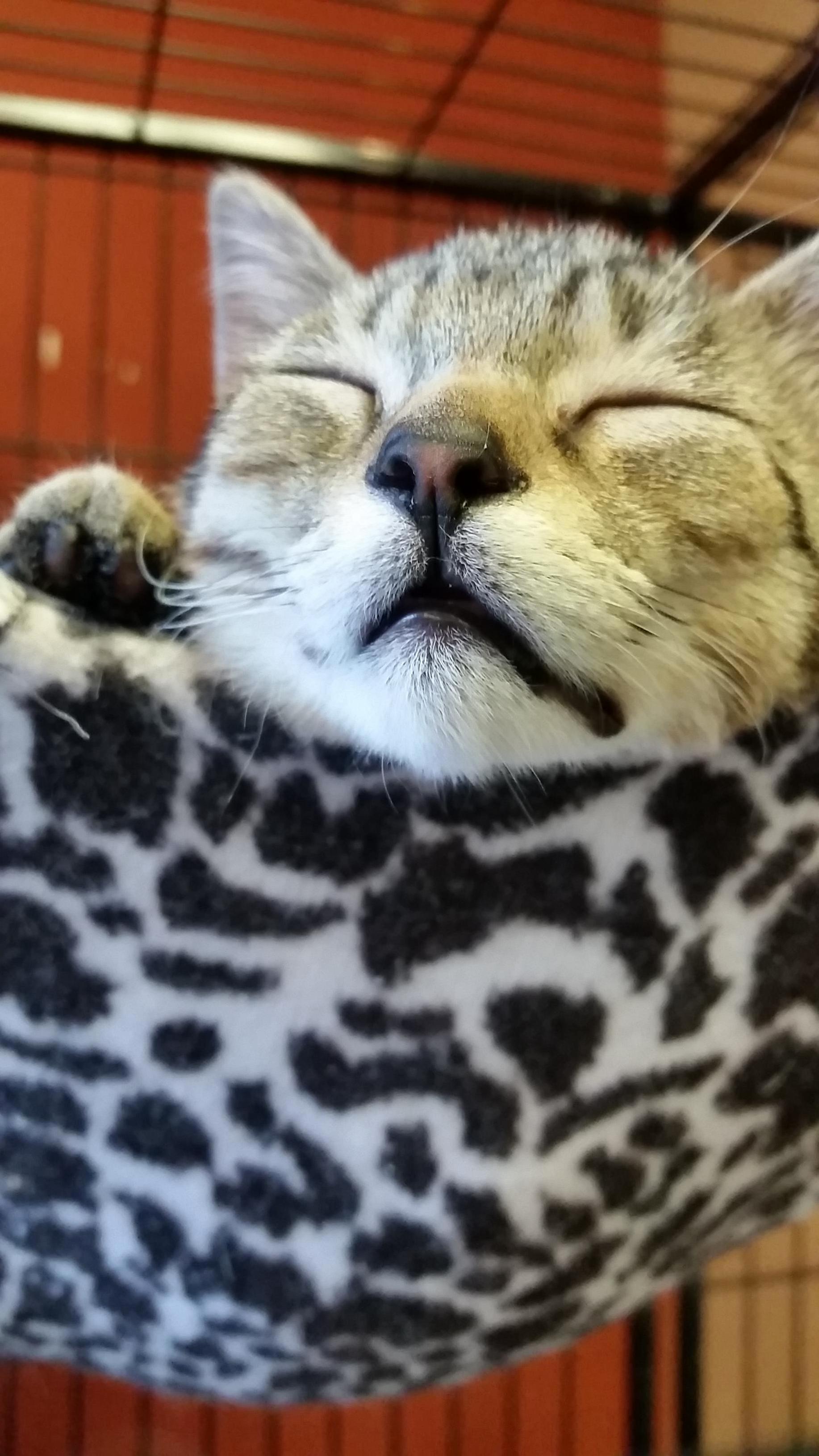 Sleepy Time