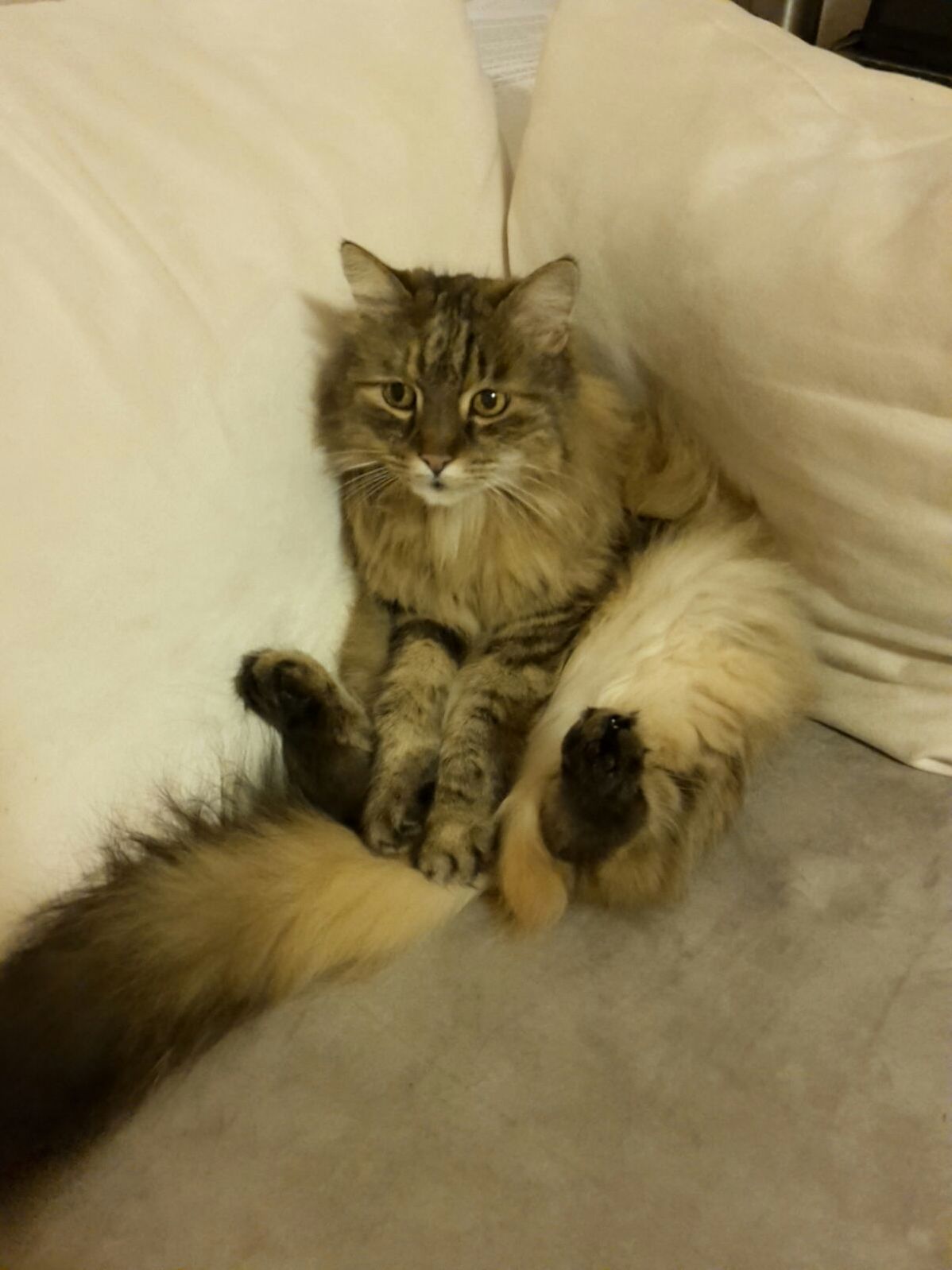 Slightly Confused About Her Sitting Position