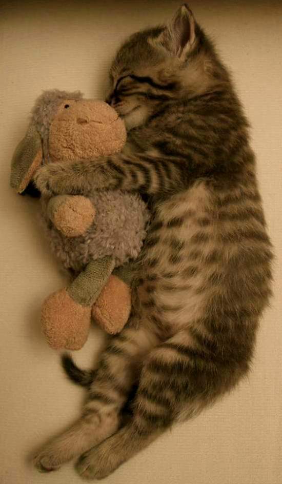 Snuggles
