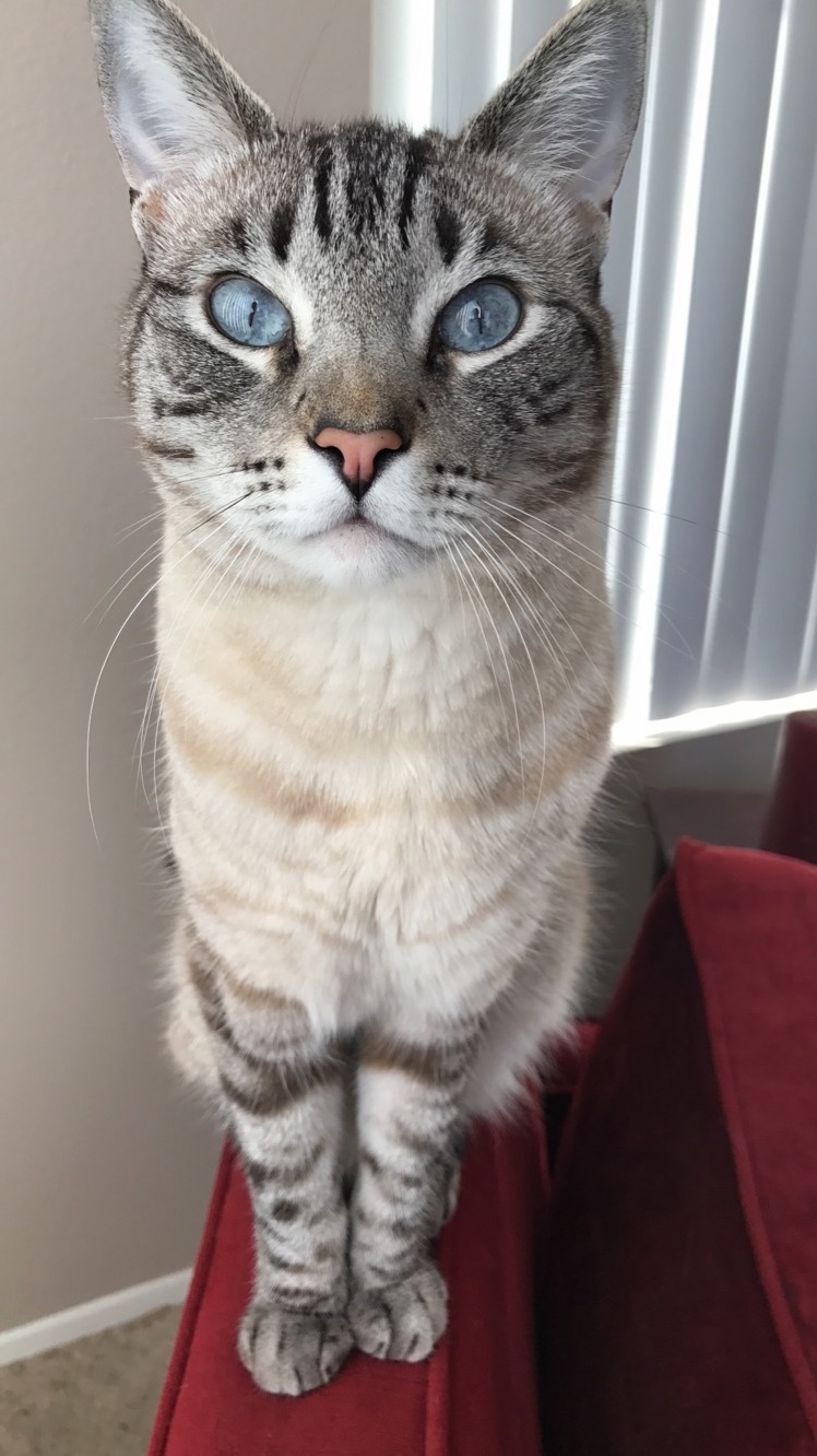 So Handsome