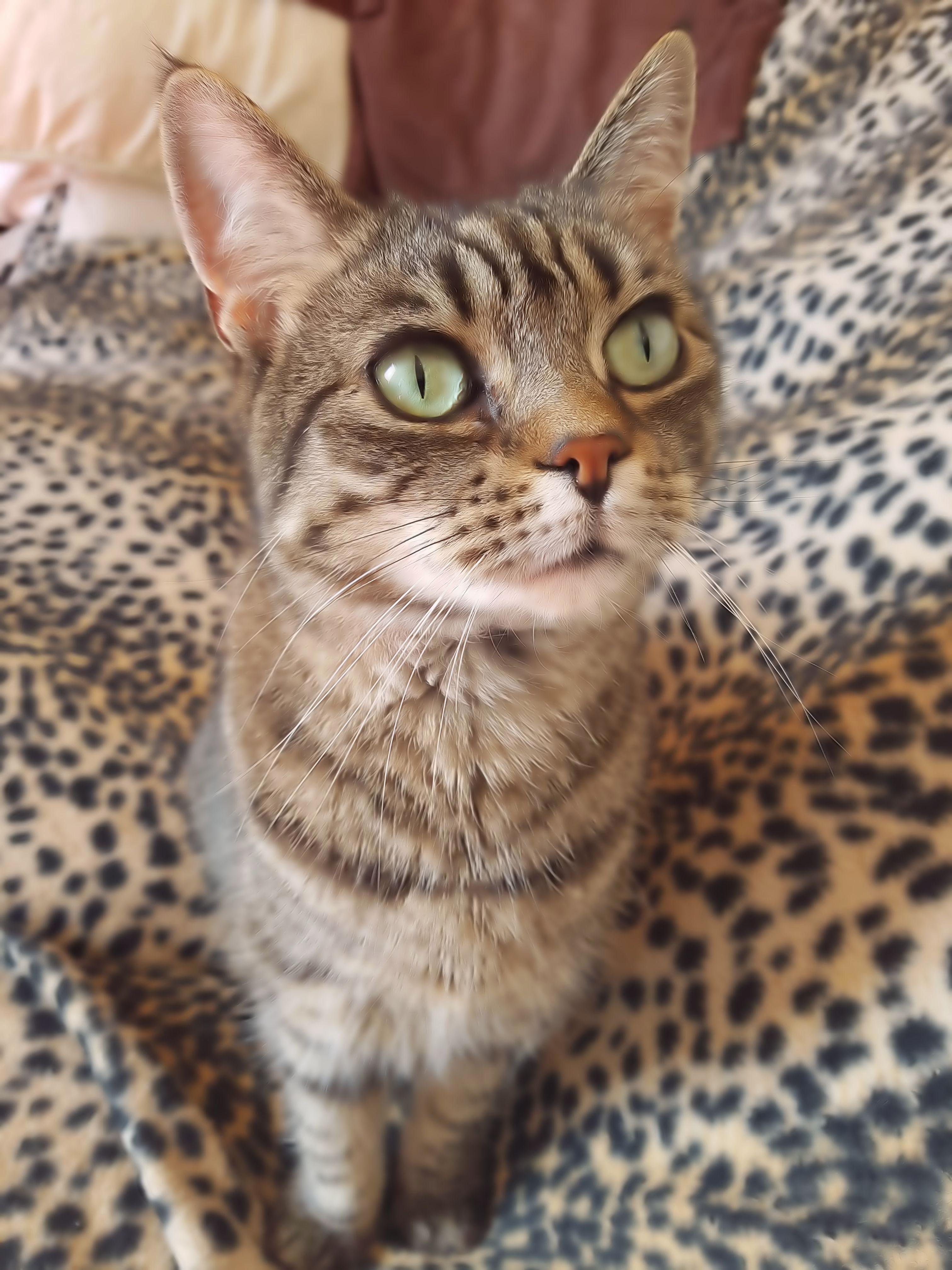 Soft Focus Fusker