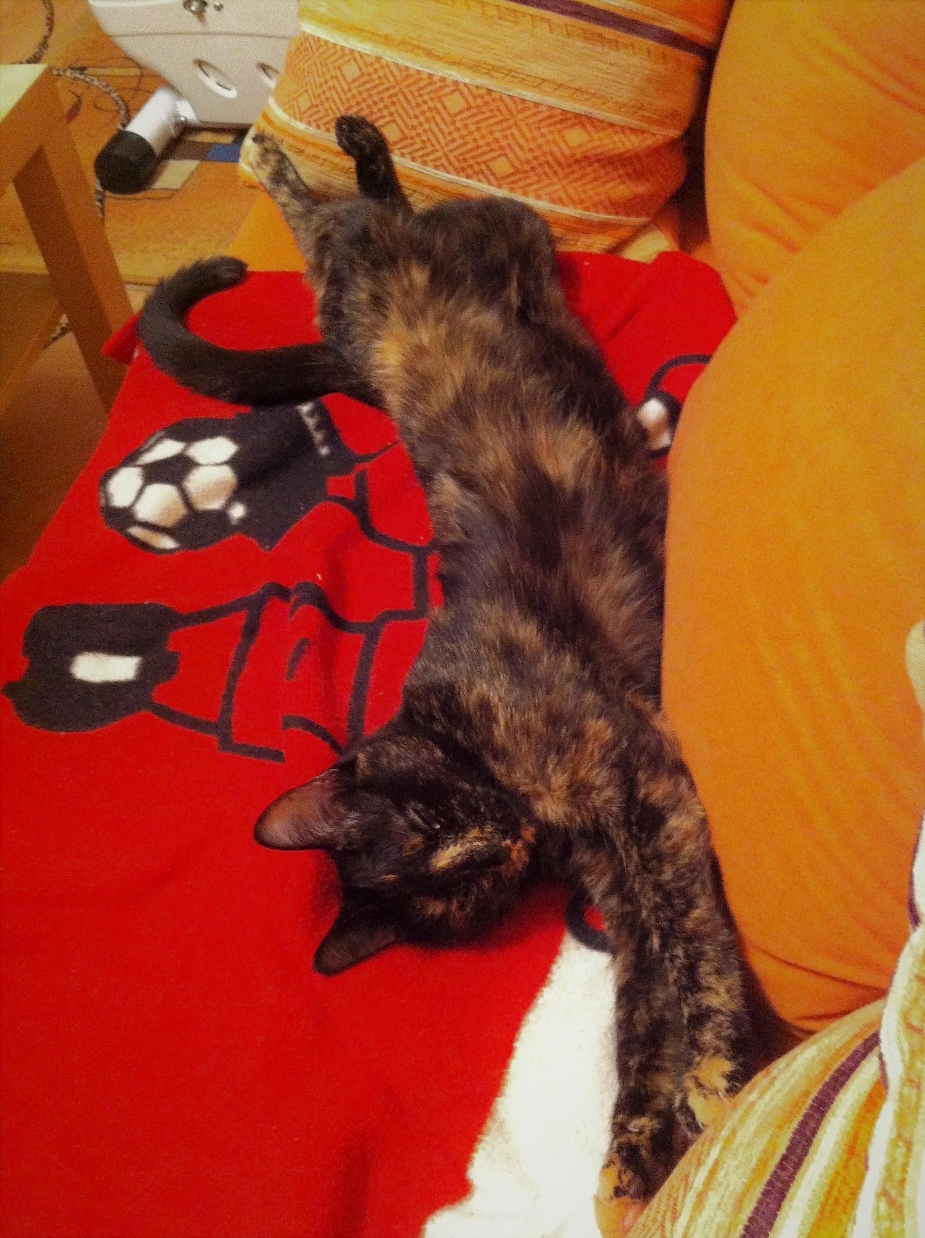 Streeeetch...