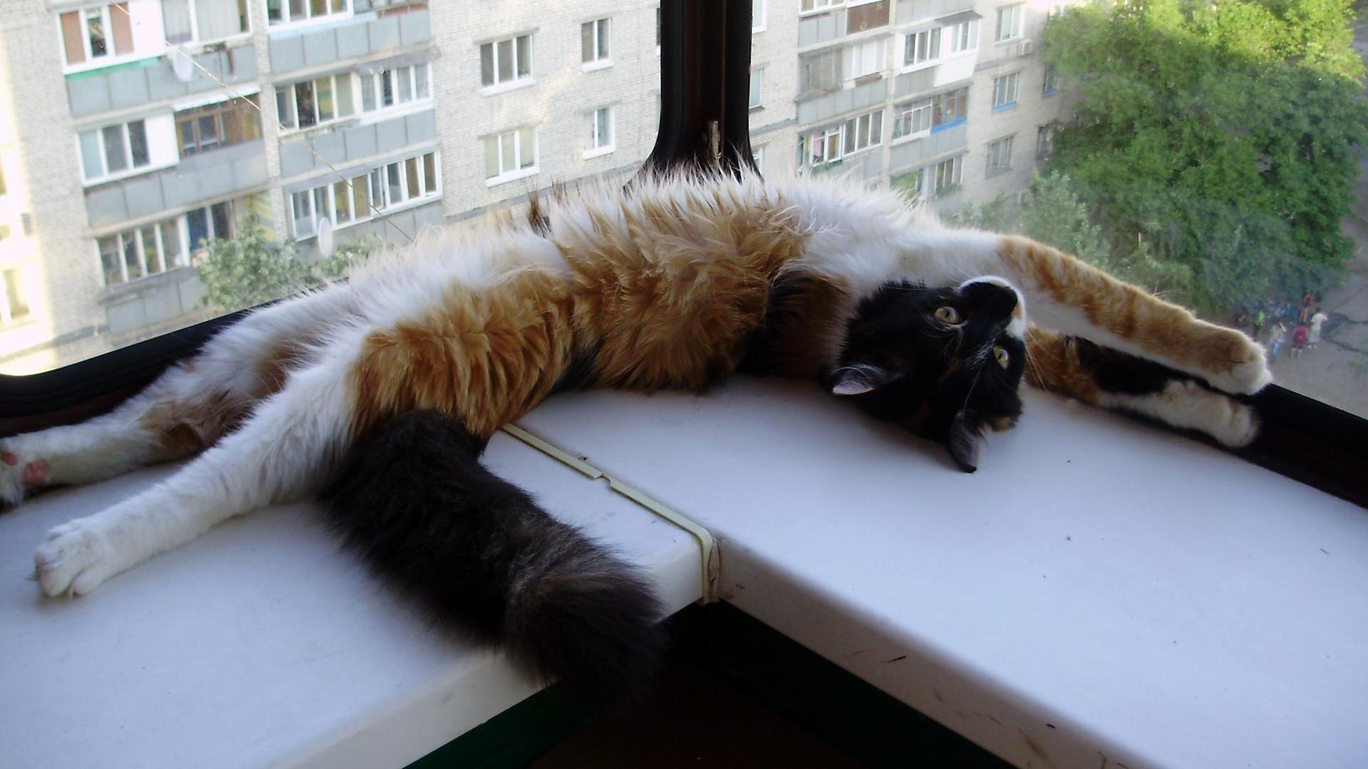 Stretching...