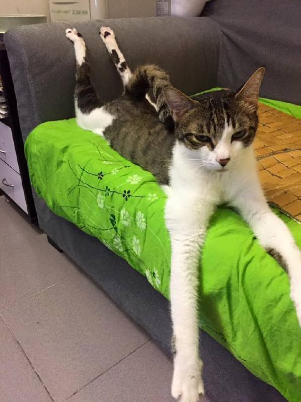 Taking Yoga to the Next Level