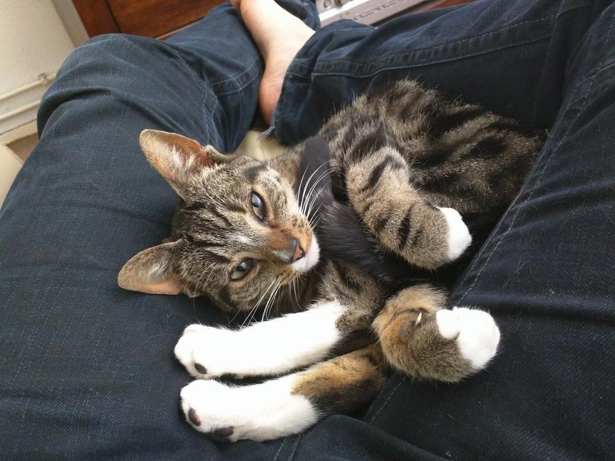 Tara Likes to Chill Like This
