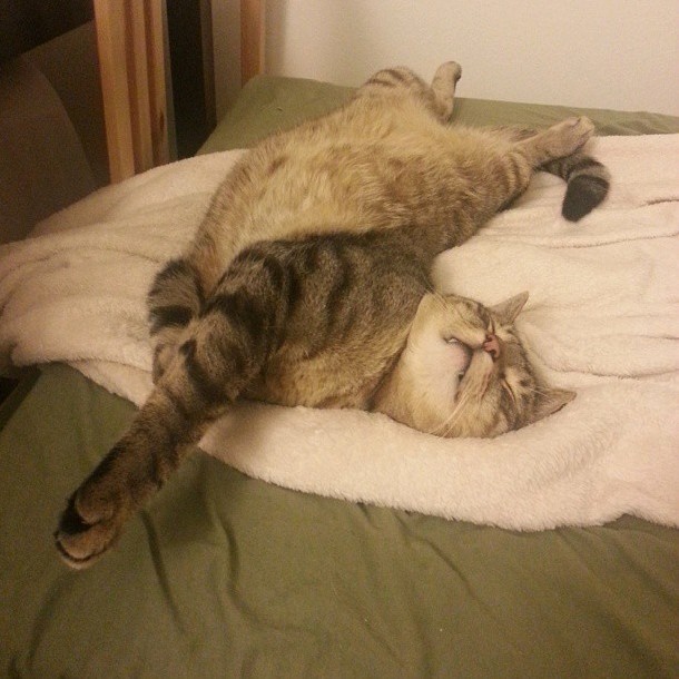 That Cant Be Good Ergonomics for Sleeping