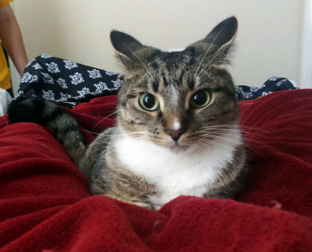 That Face.