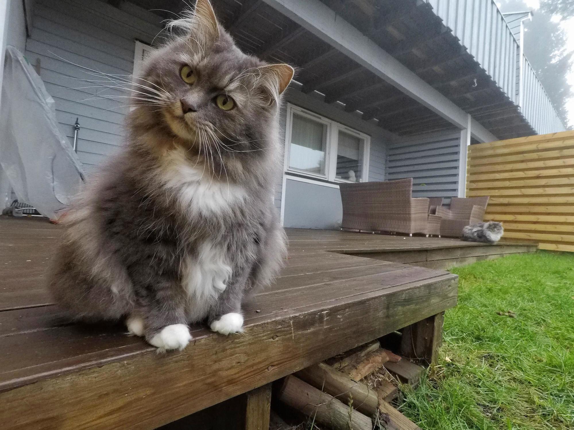 The Confused Look When She Realize the Snow Has Melted