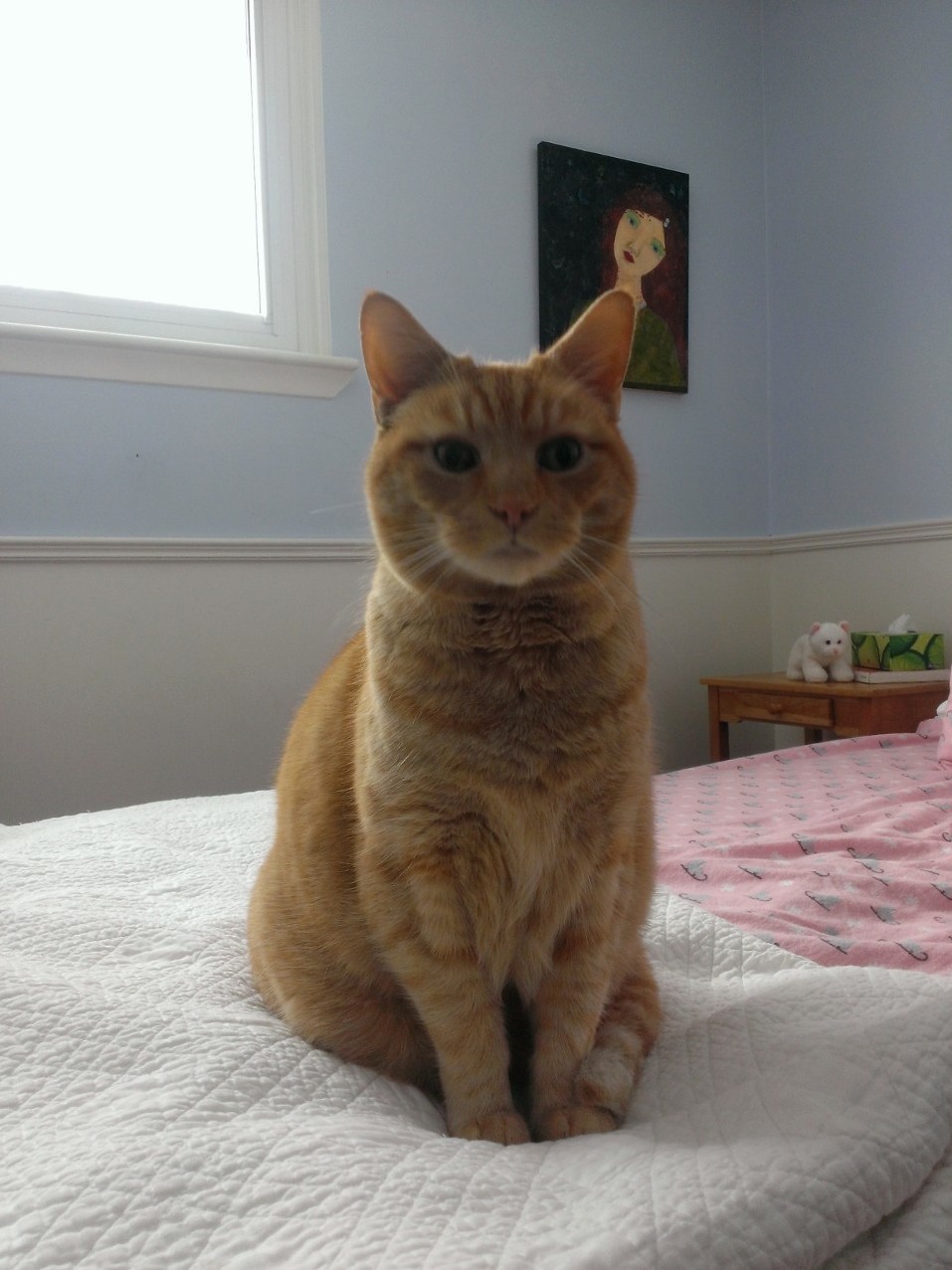 The King of the Spare Room