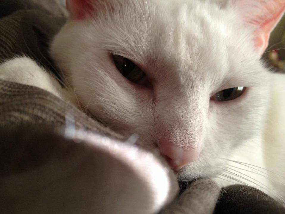 The Look I Get in the Morning