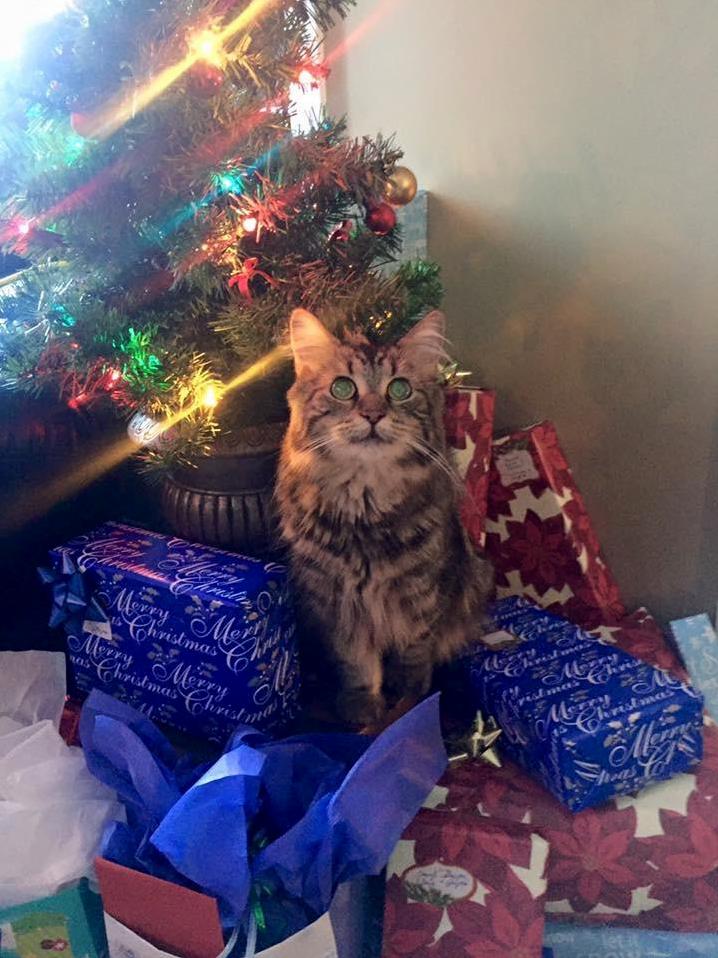 These Is Mine