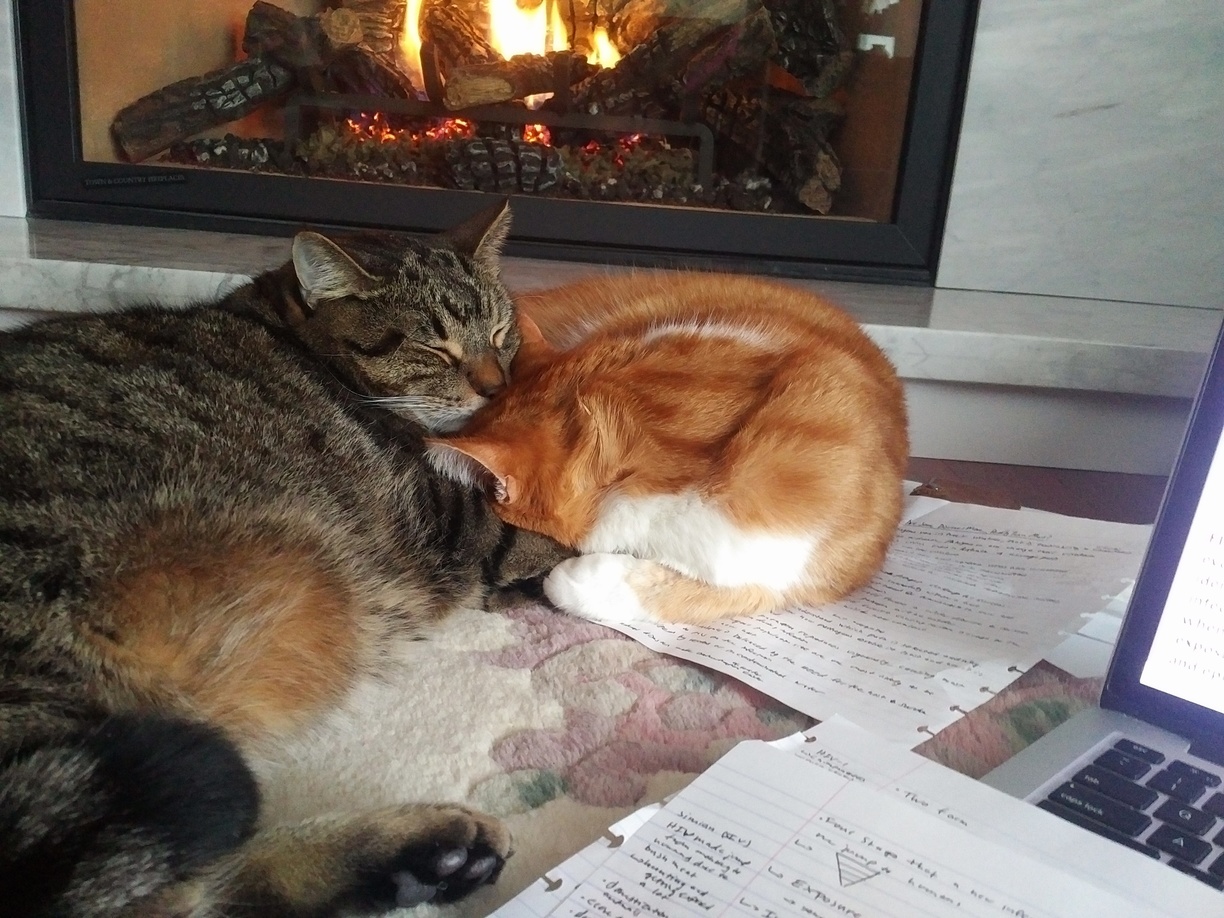 These Two Are Almost Making Studying for Exams Enjoyable.