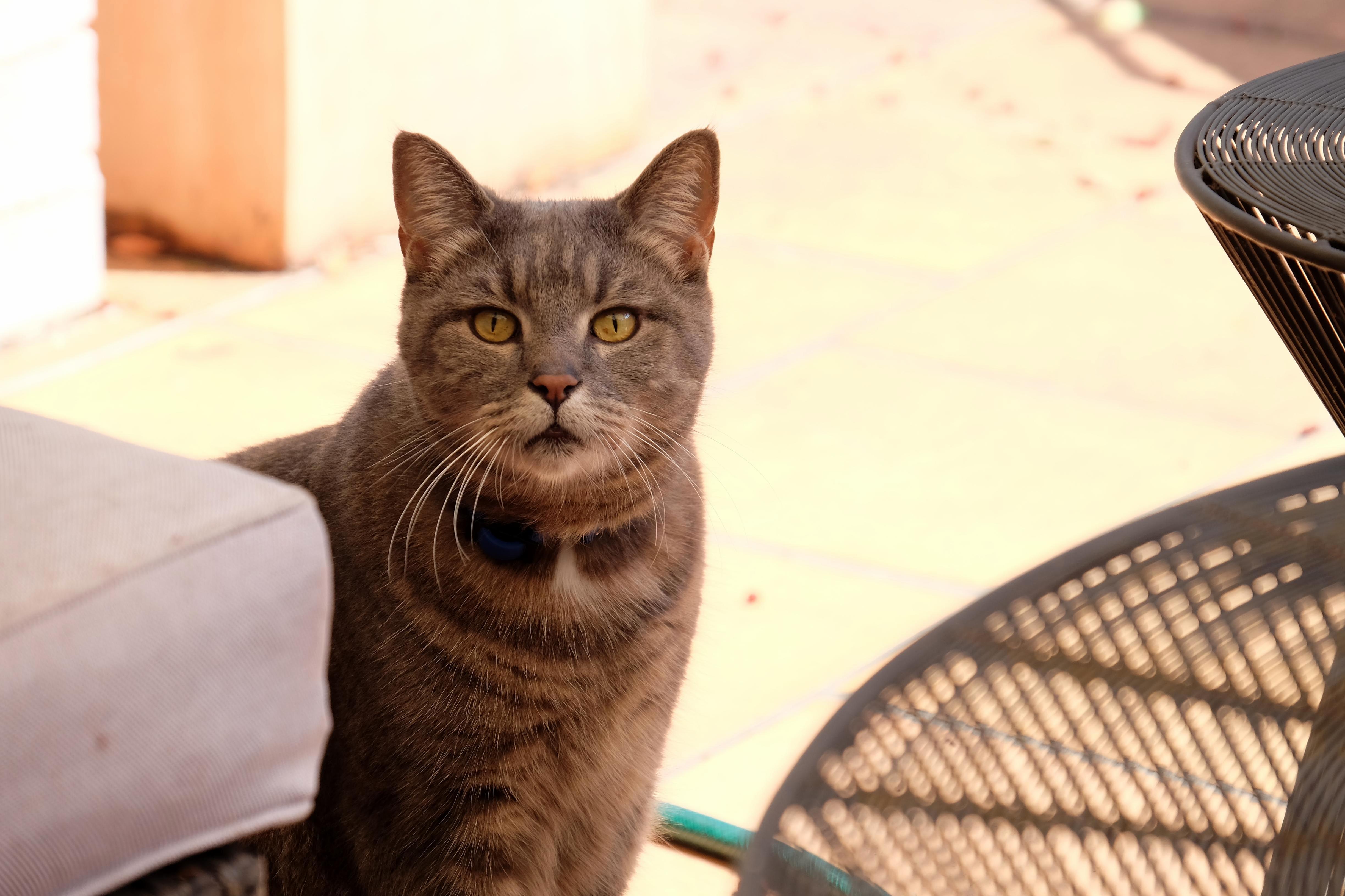 This Is My Best Friend. Hes No Longer with Us and I Wasnt There with Him in His Final Moments.
