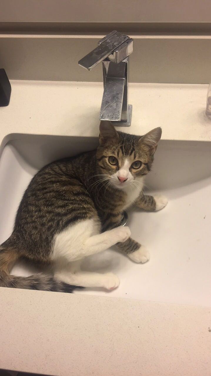 This Seems Like a Good Place to Rest