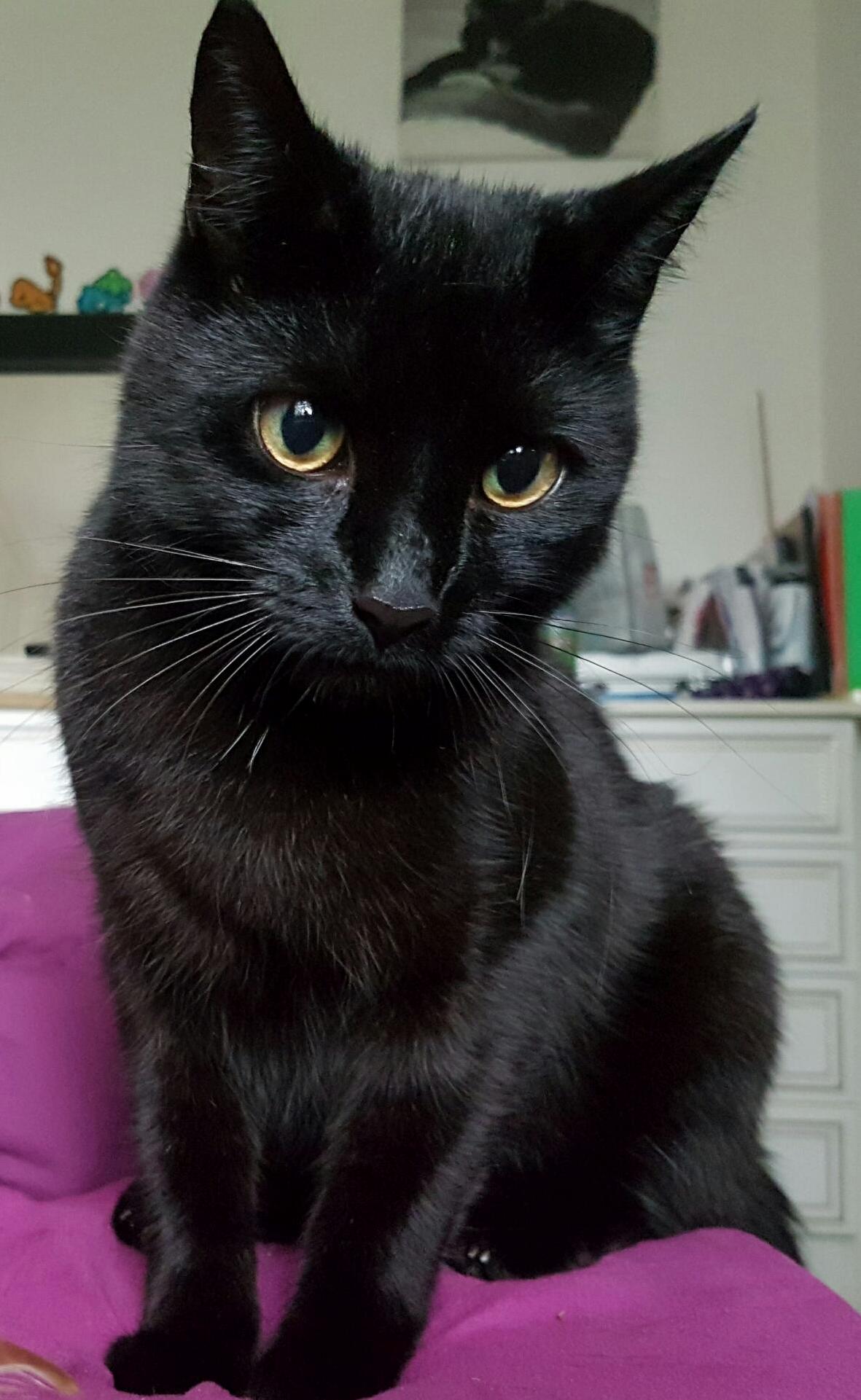 Those Eyes