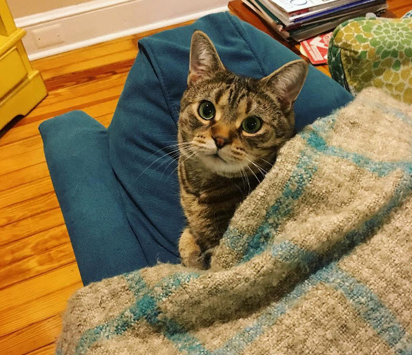 Tortellini Can Be Pretty Cute Sometimes.