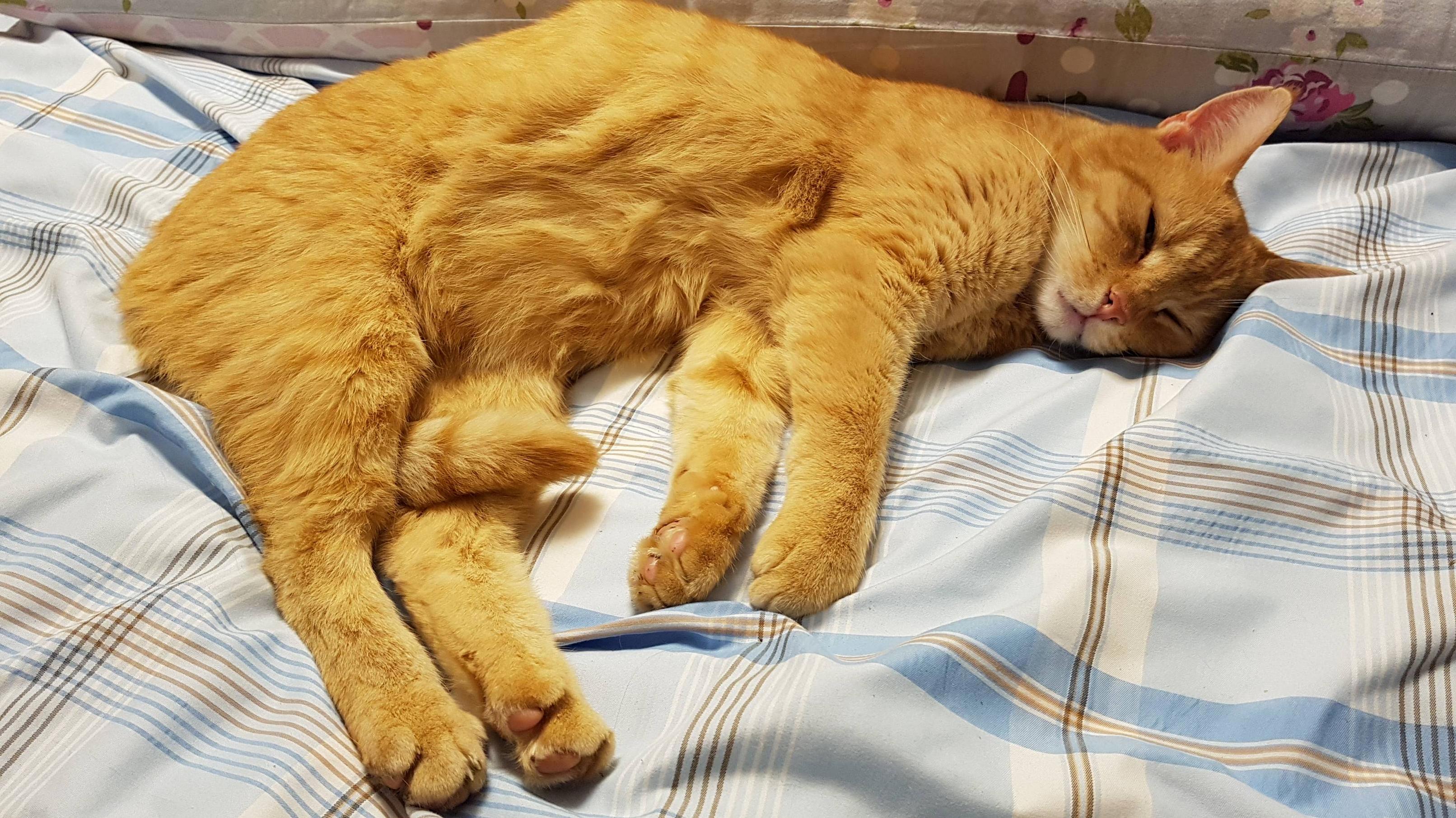 Visited My Parents and Found Him Like This
