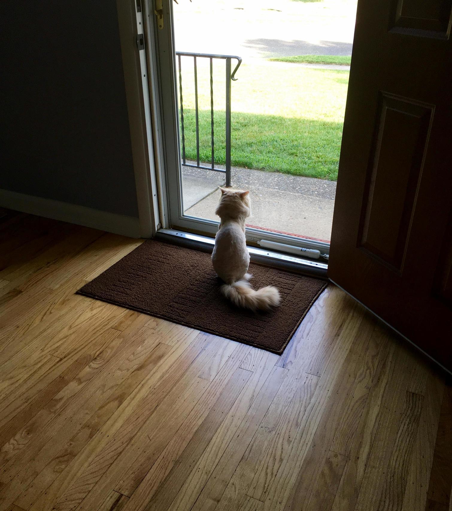 Waiting for Squirrels to Load...