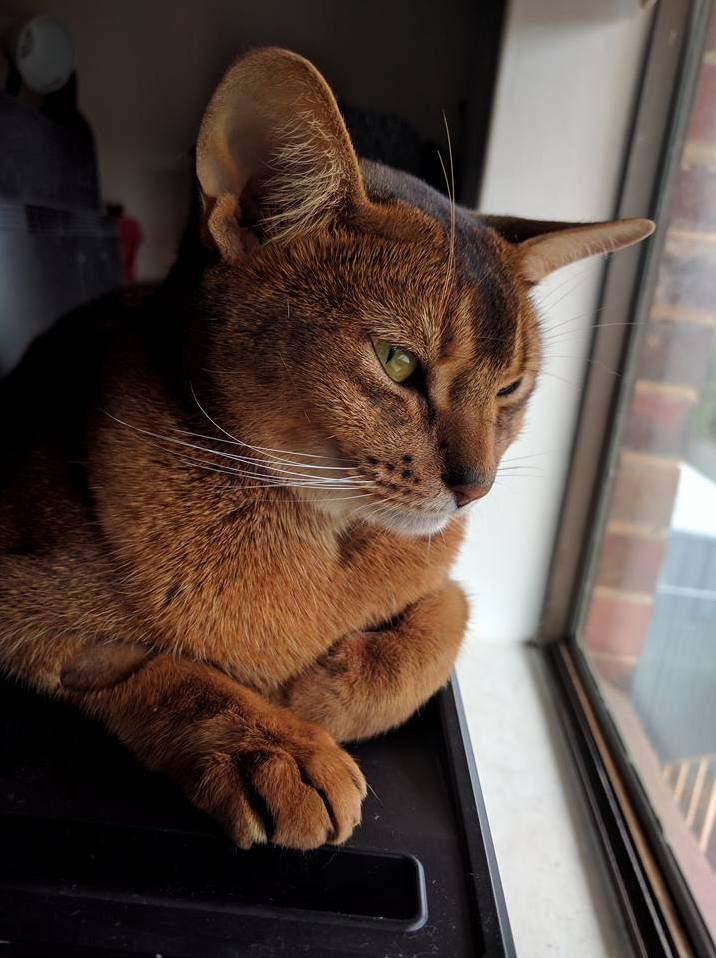 Watching the World Go By....