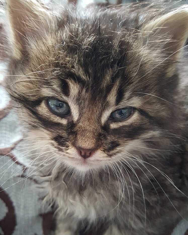Weekend Foster Turned Into Adoption