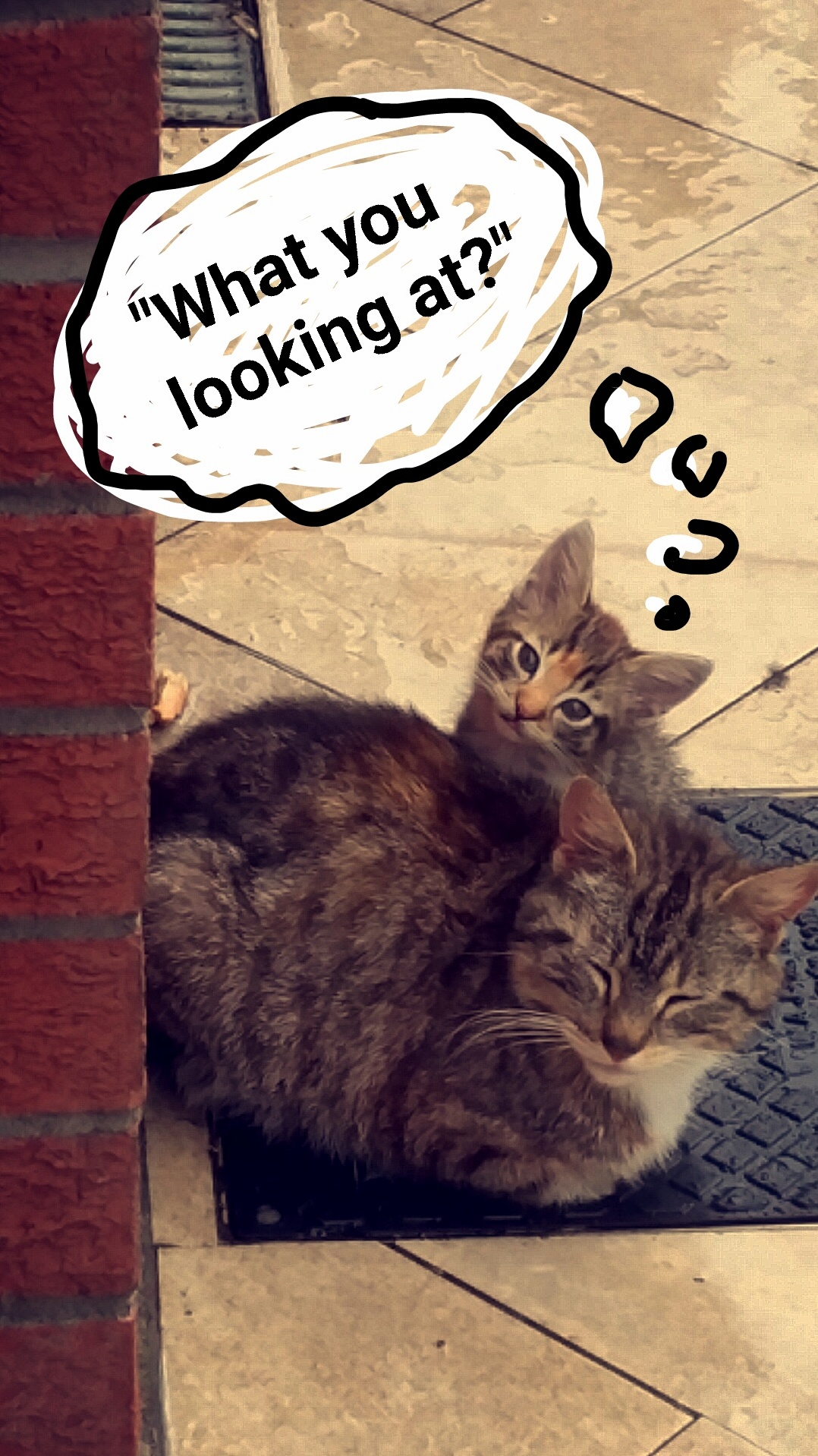 What You Looking at